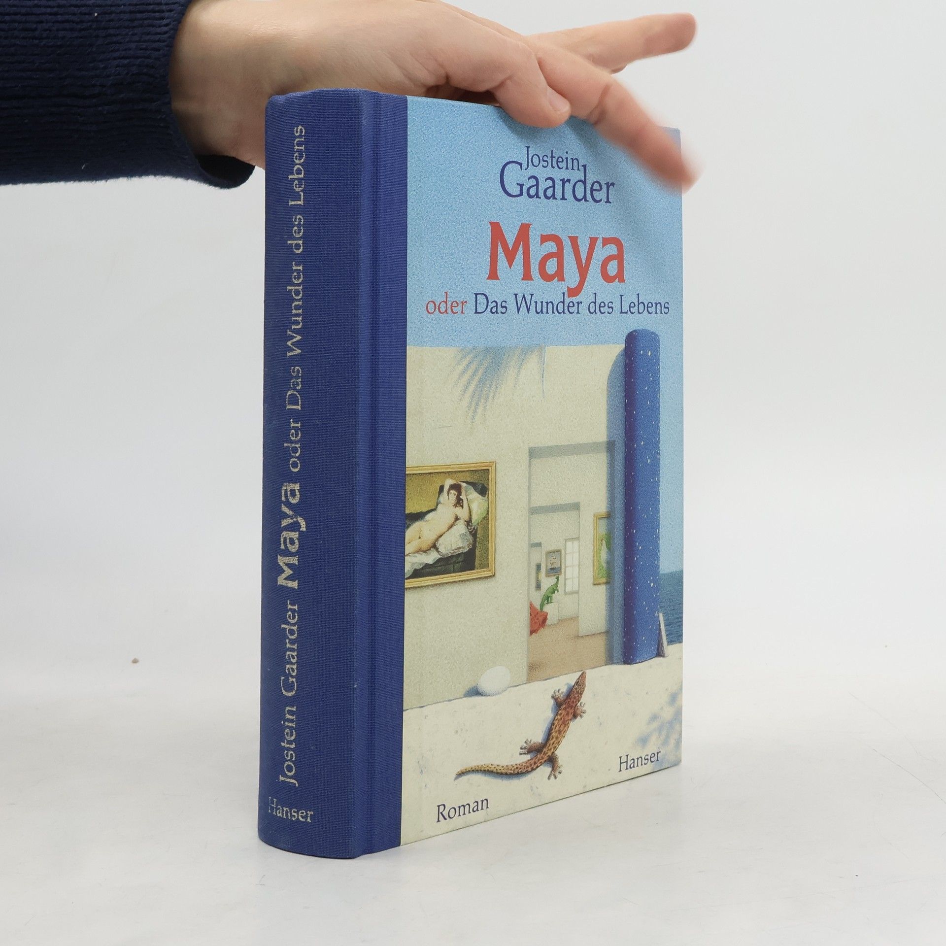 Jostein Gaarder Maya oder Das Wunder des Lebens