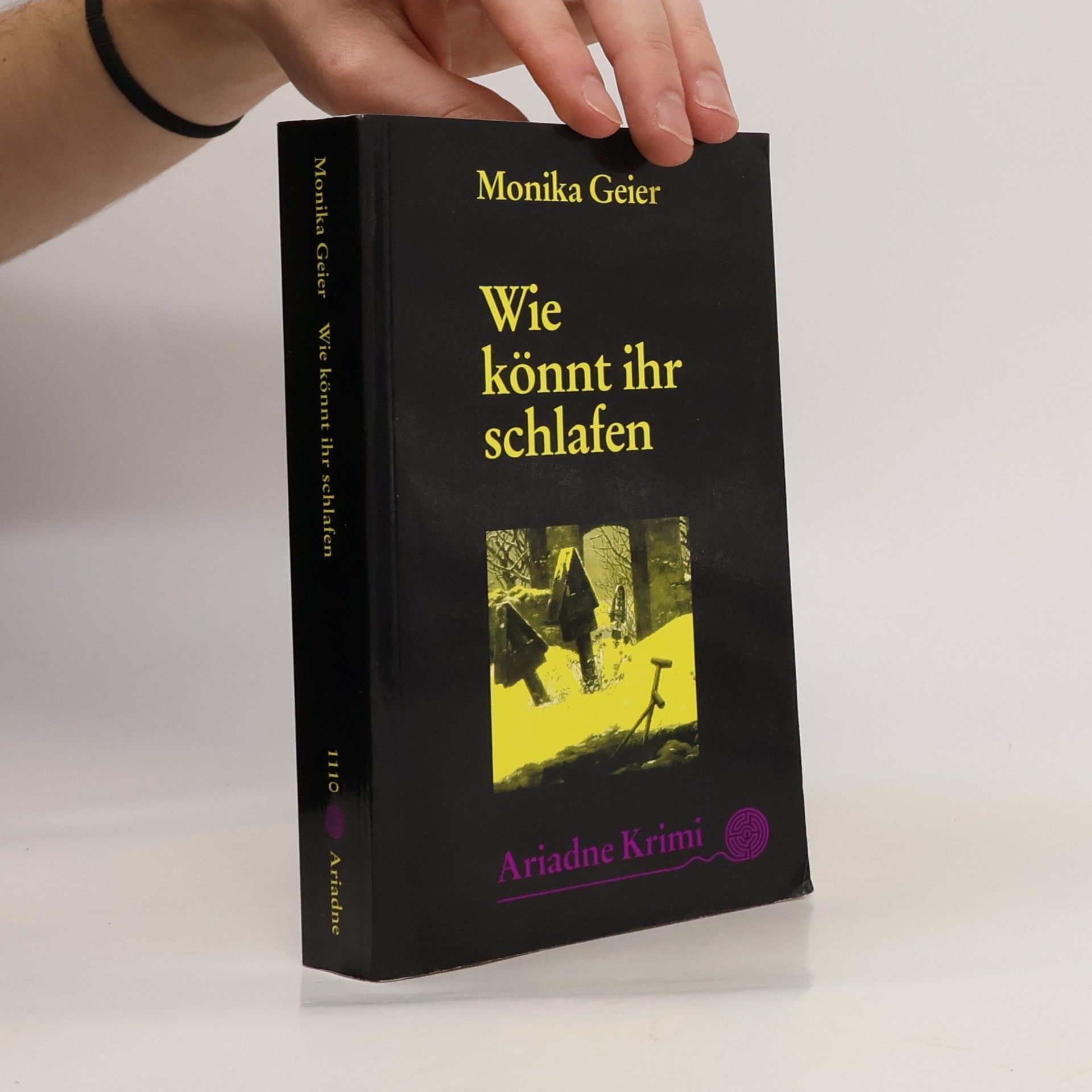 Monika Geier Wie könnt ihr schlafen