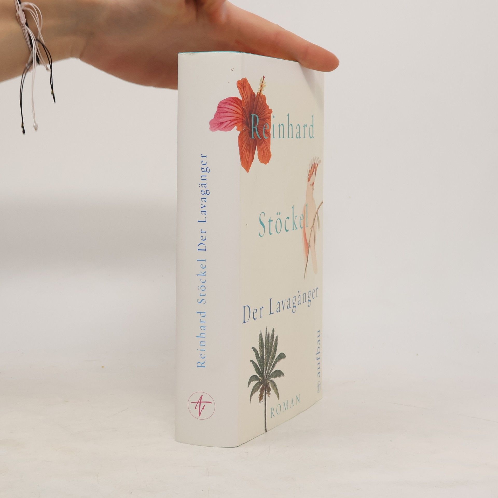 Reinhard Stöckel Der Lavagänger