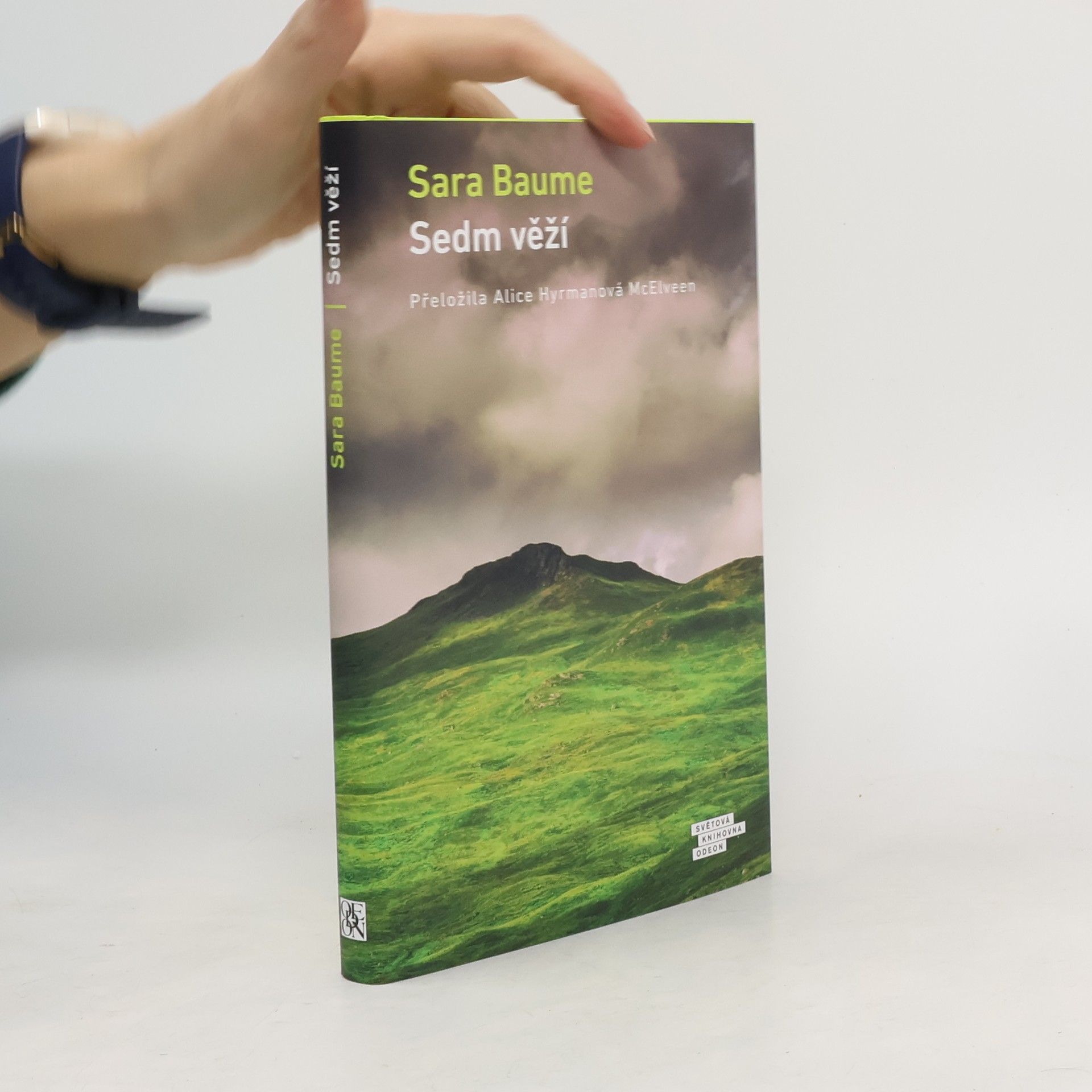 Sara Baume Sedm věží