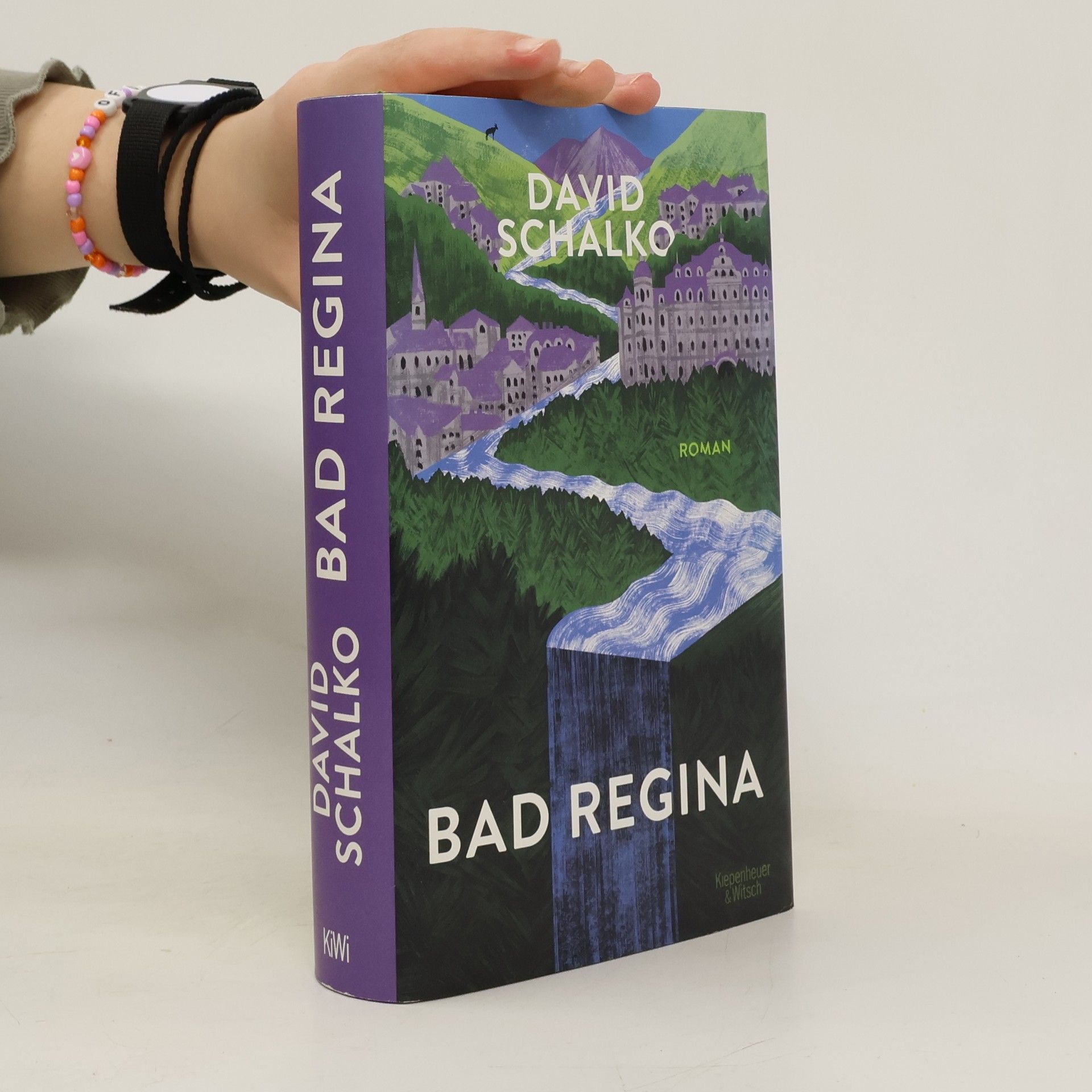 David Schalko Bad Regina