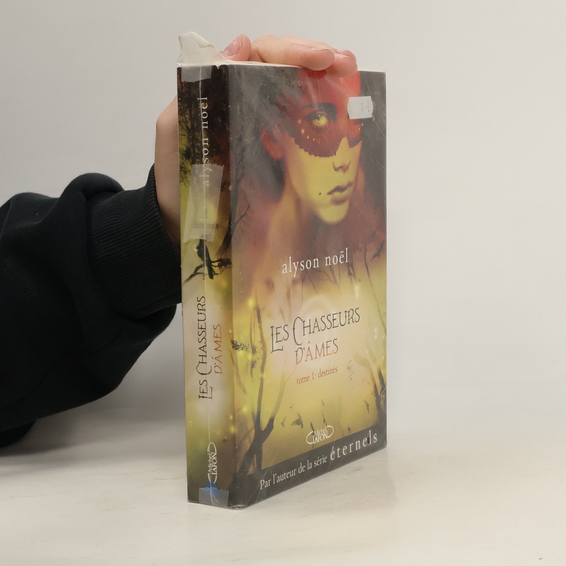 Alyson Noë͏l Les Chasseurs d'Âmes - 1: Destinés