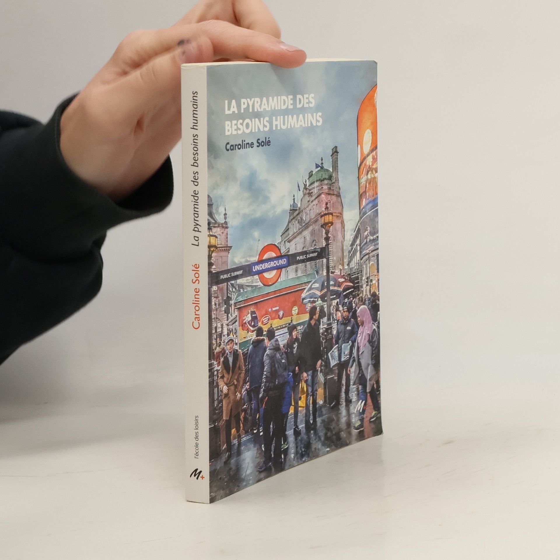 La pyramide des besoins humains poche