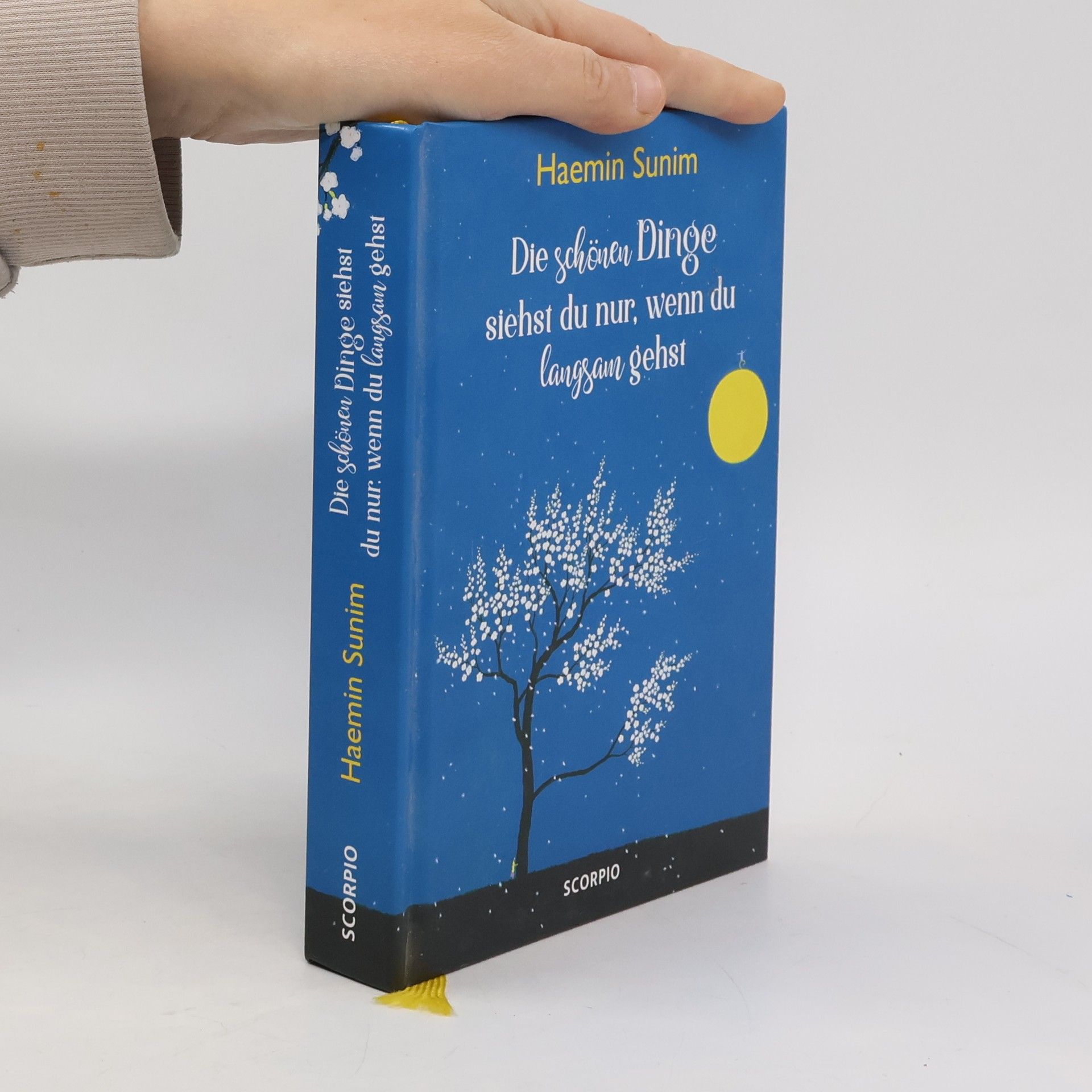 Haemin Die schönen Dinge siehst du nur, wenn du langsam gehst