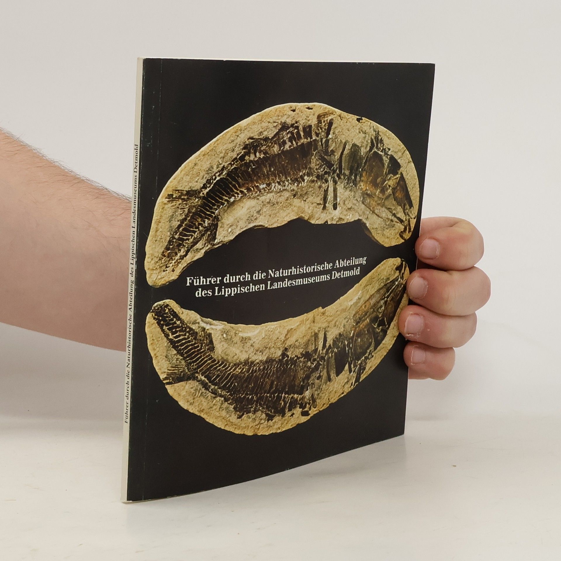 Various authors Führer durch die Naturhistorische Abteilung des Lippischen Landesmuseums Detmold