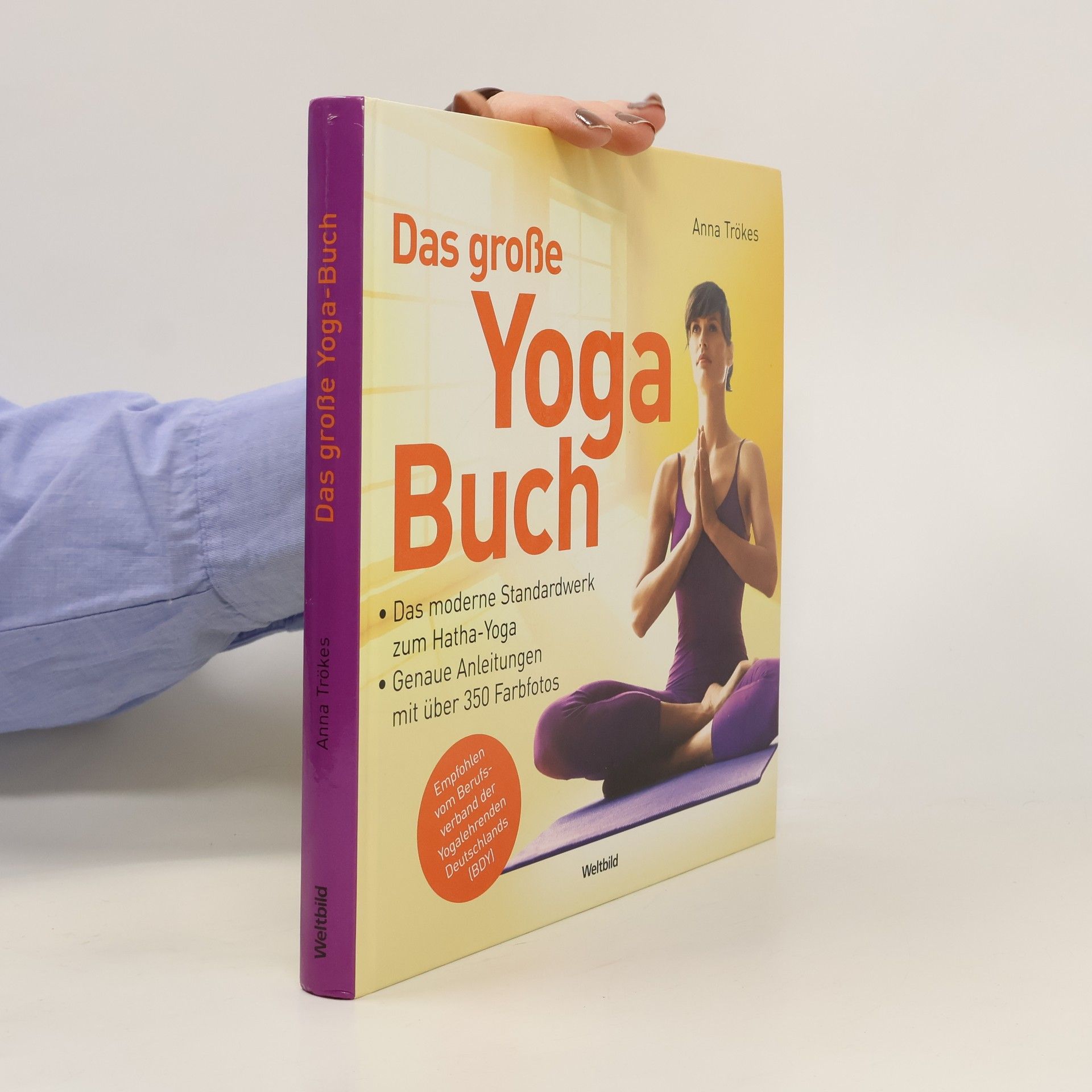 Anna Trökes Das große Yogabuch