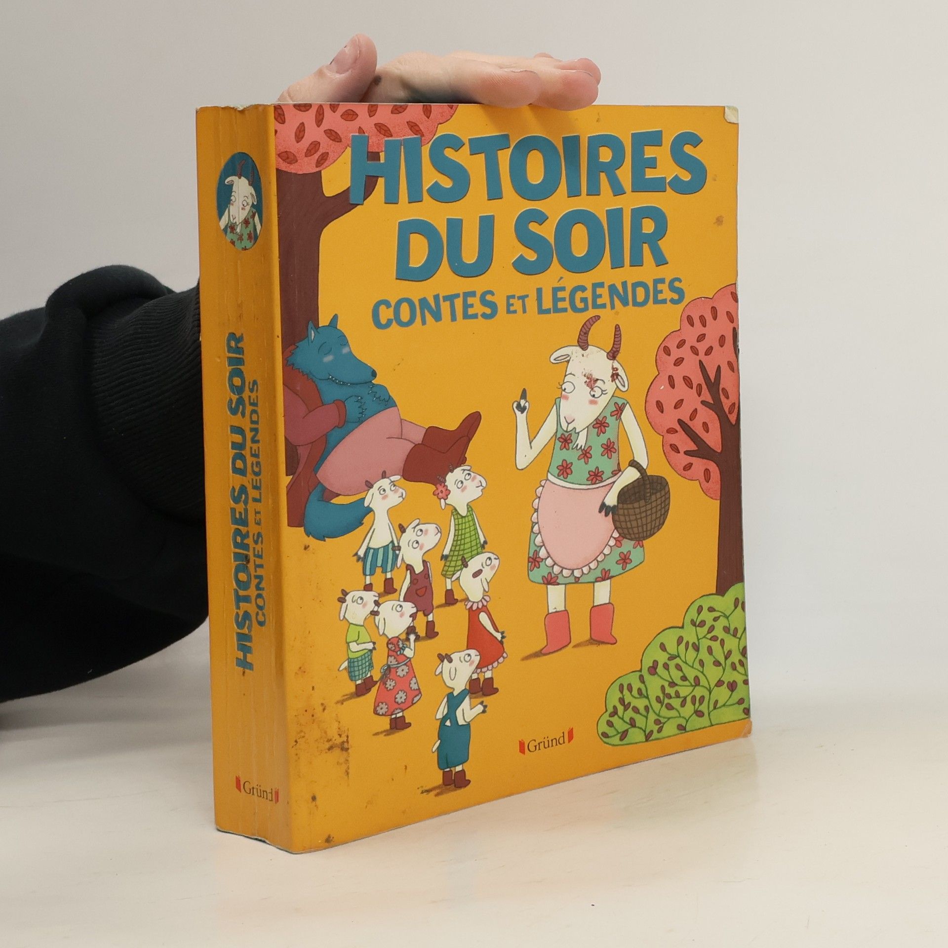 Collectif Histoires du soir