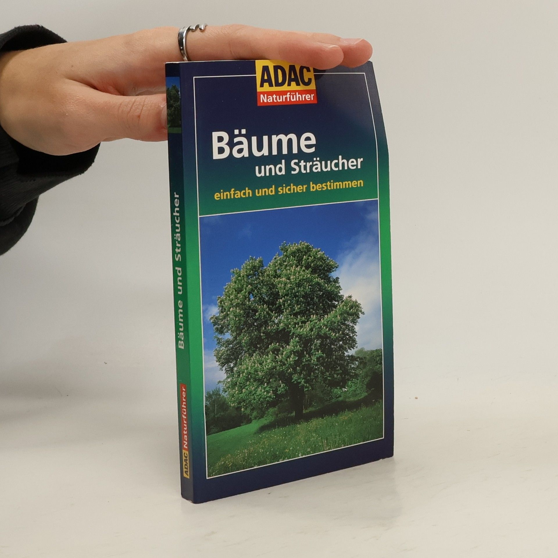 Michael Eppinger Bäume und Sträucher einfach und sicher bestimmen