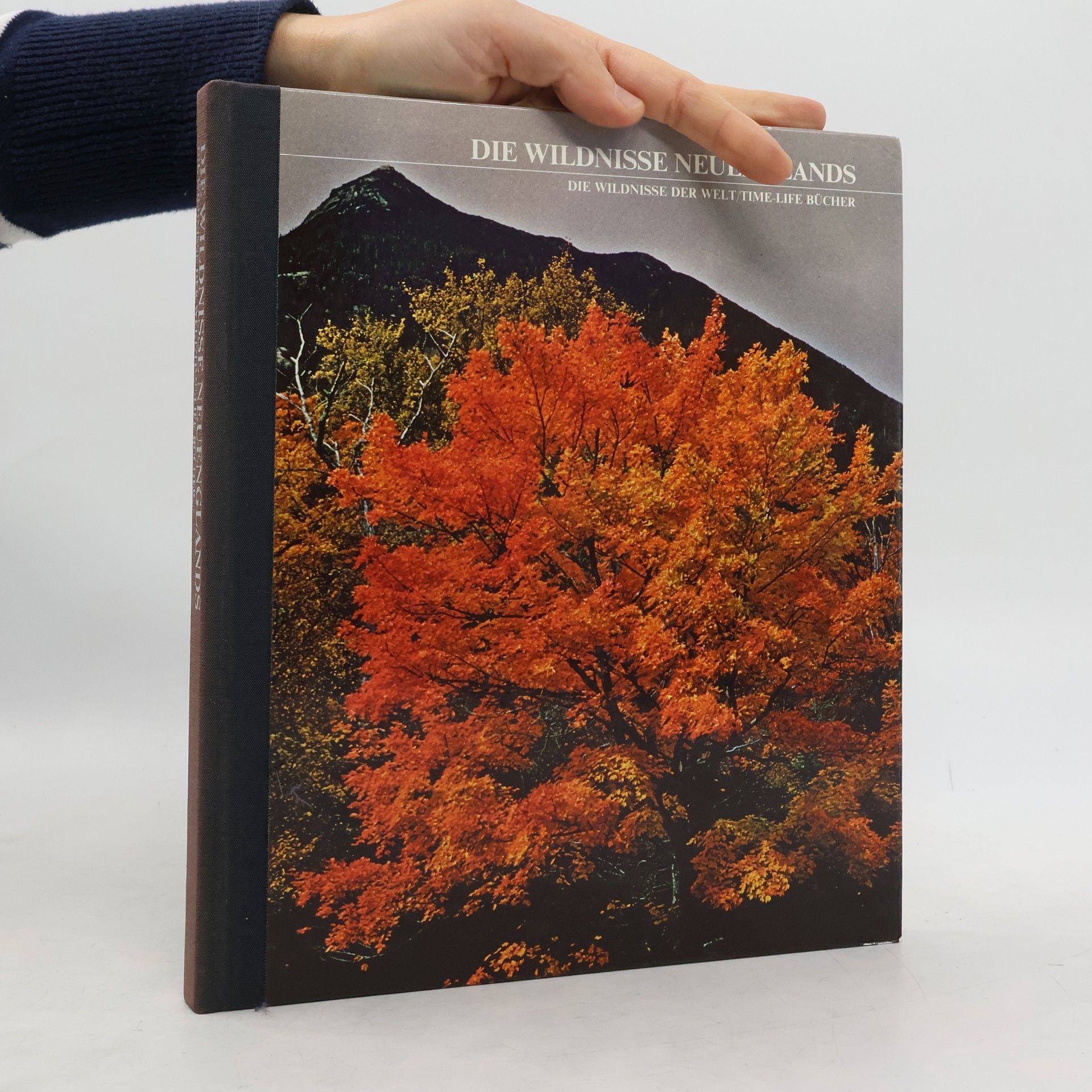 Autorenkollektiv Die Wildnisse Neuenglands