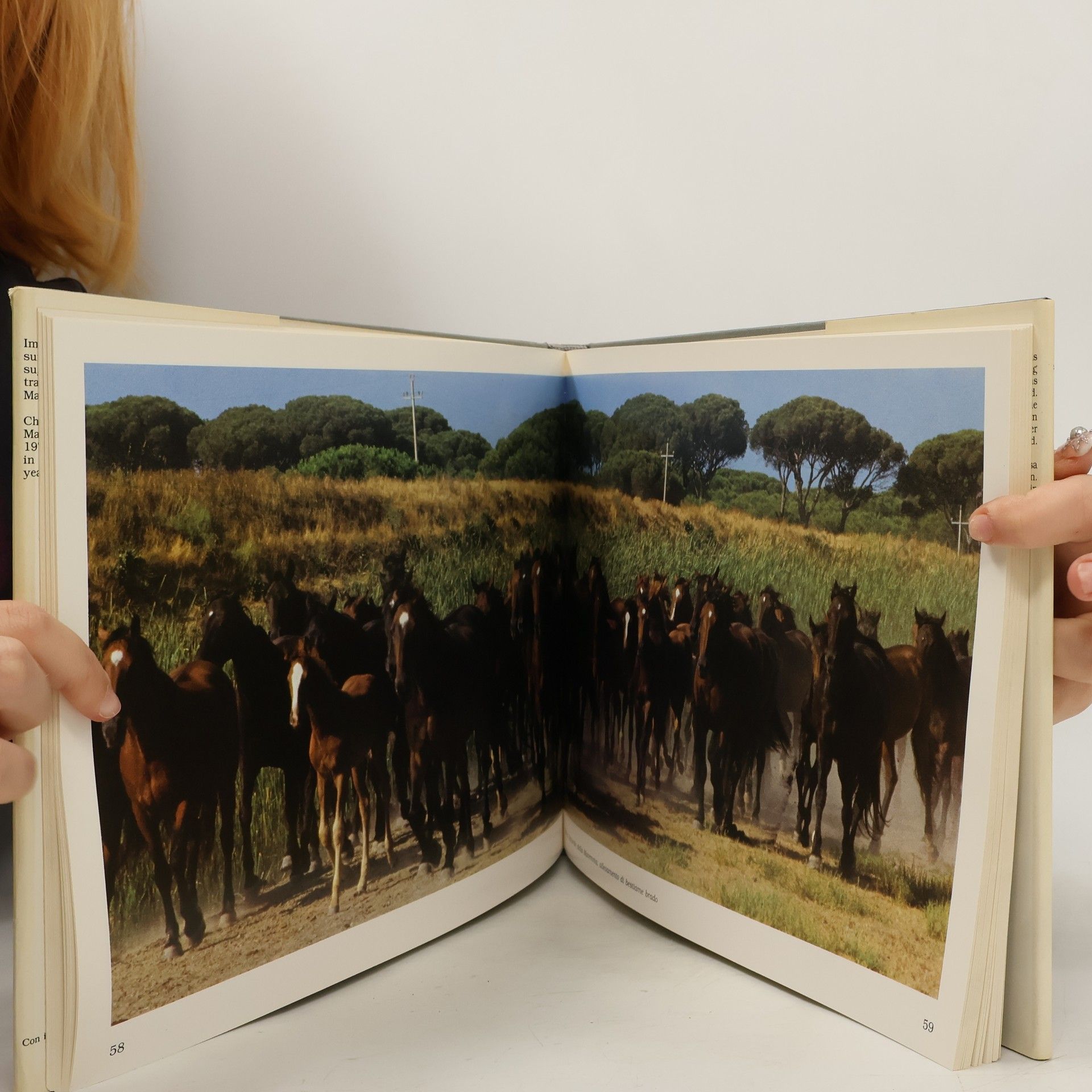 Charlie Bonazza A Journey in Maremma