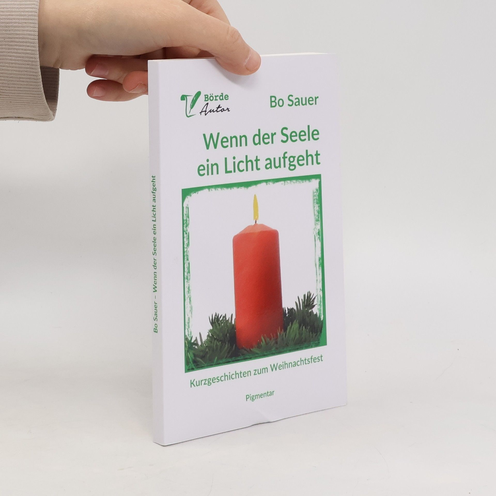 Bo Sauer Wenn der Seele ein Licht aufgeht
