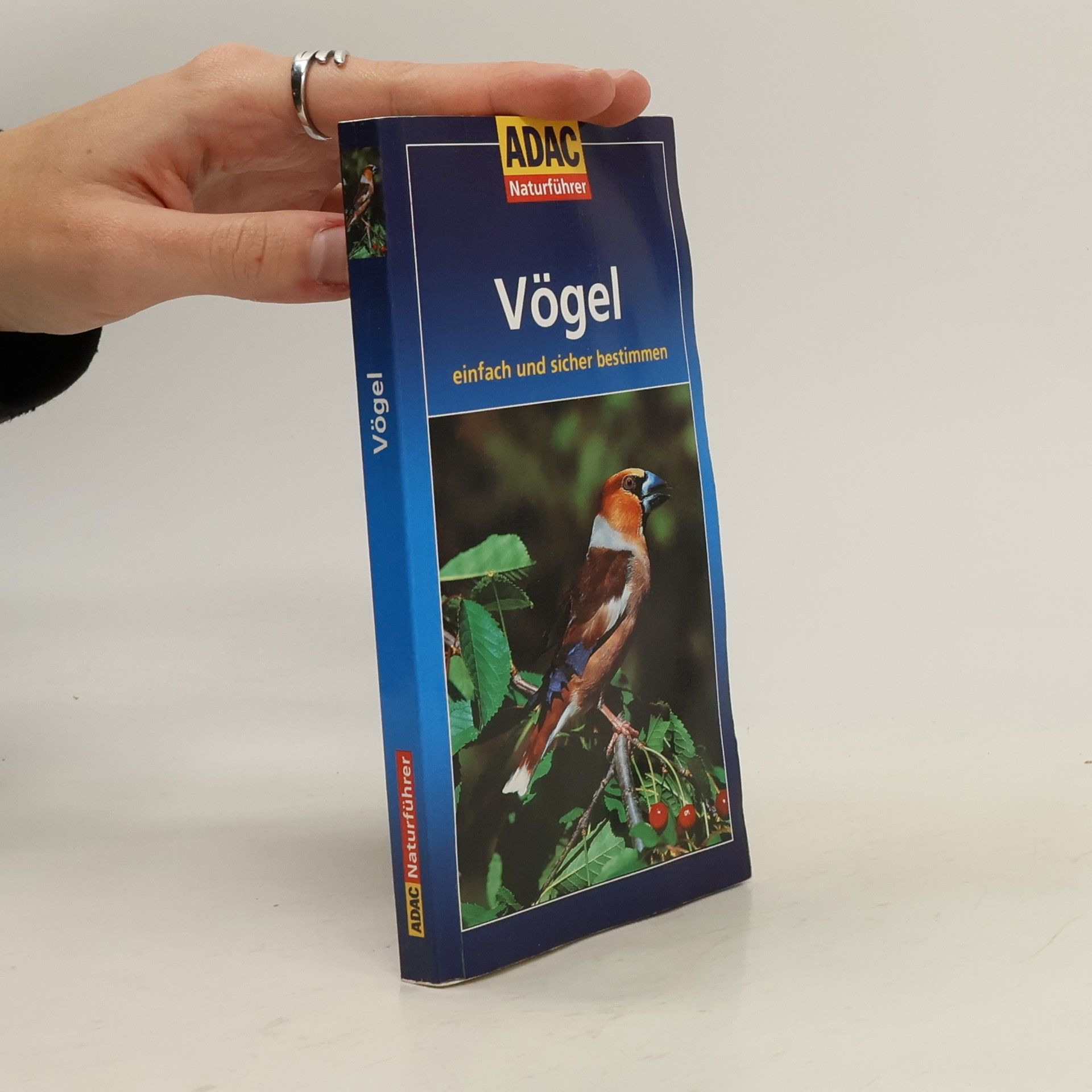 Helga Hofmann Vögel einfach und sicher bestimmen