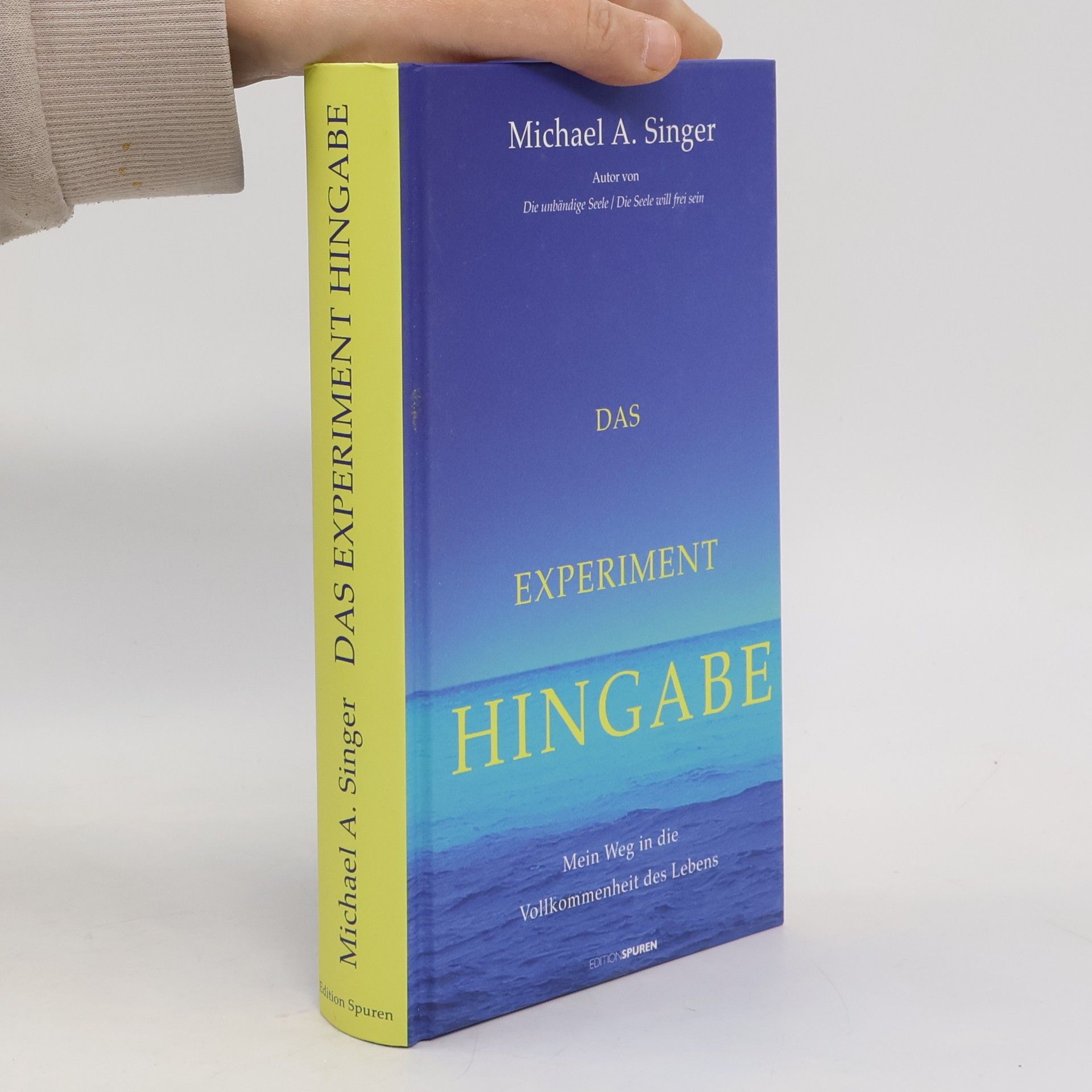 Das Experiment Hingabe