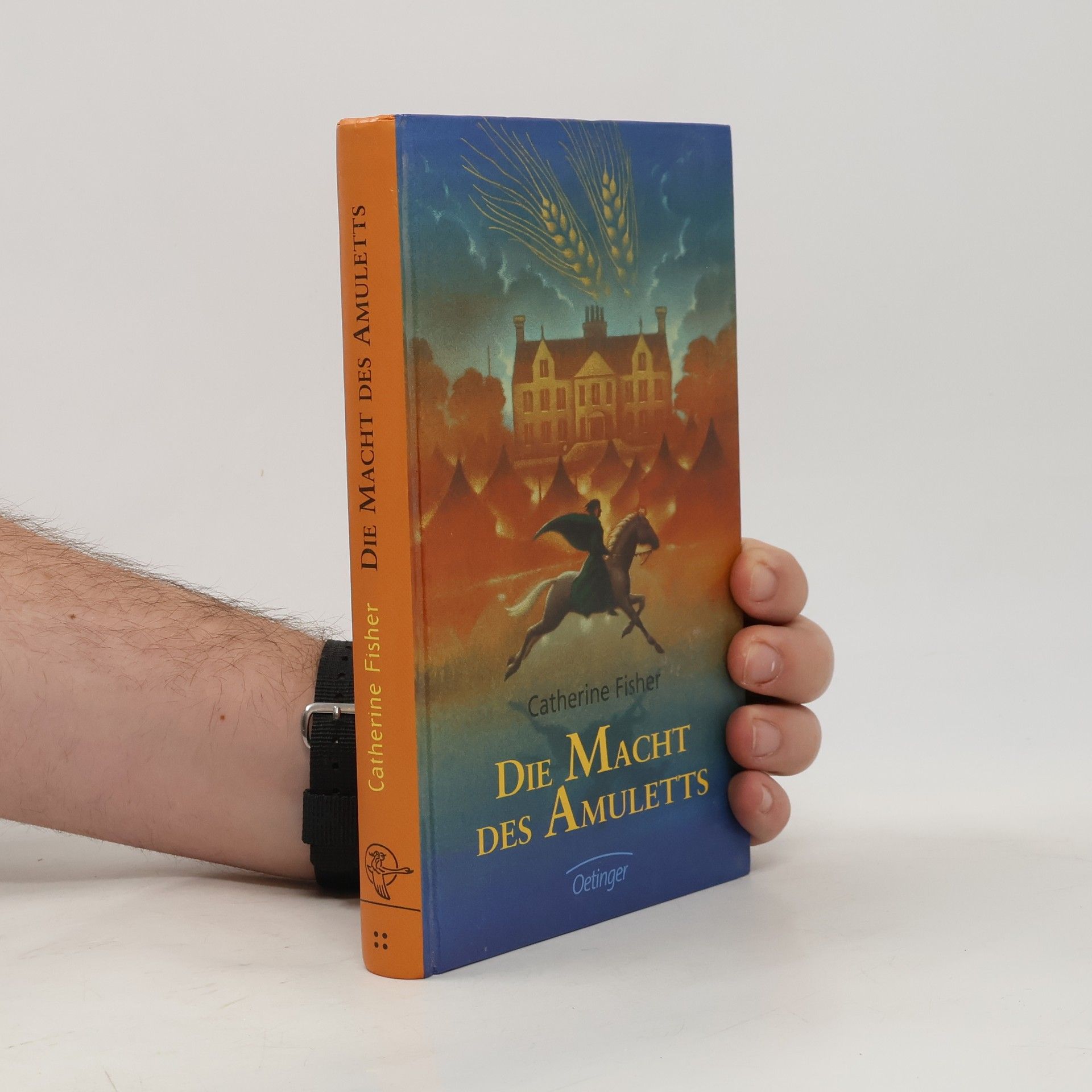 Catherine Fisher Die Macht des Amulets