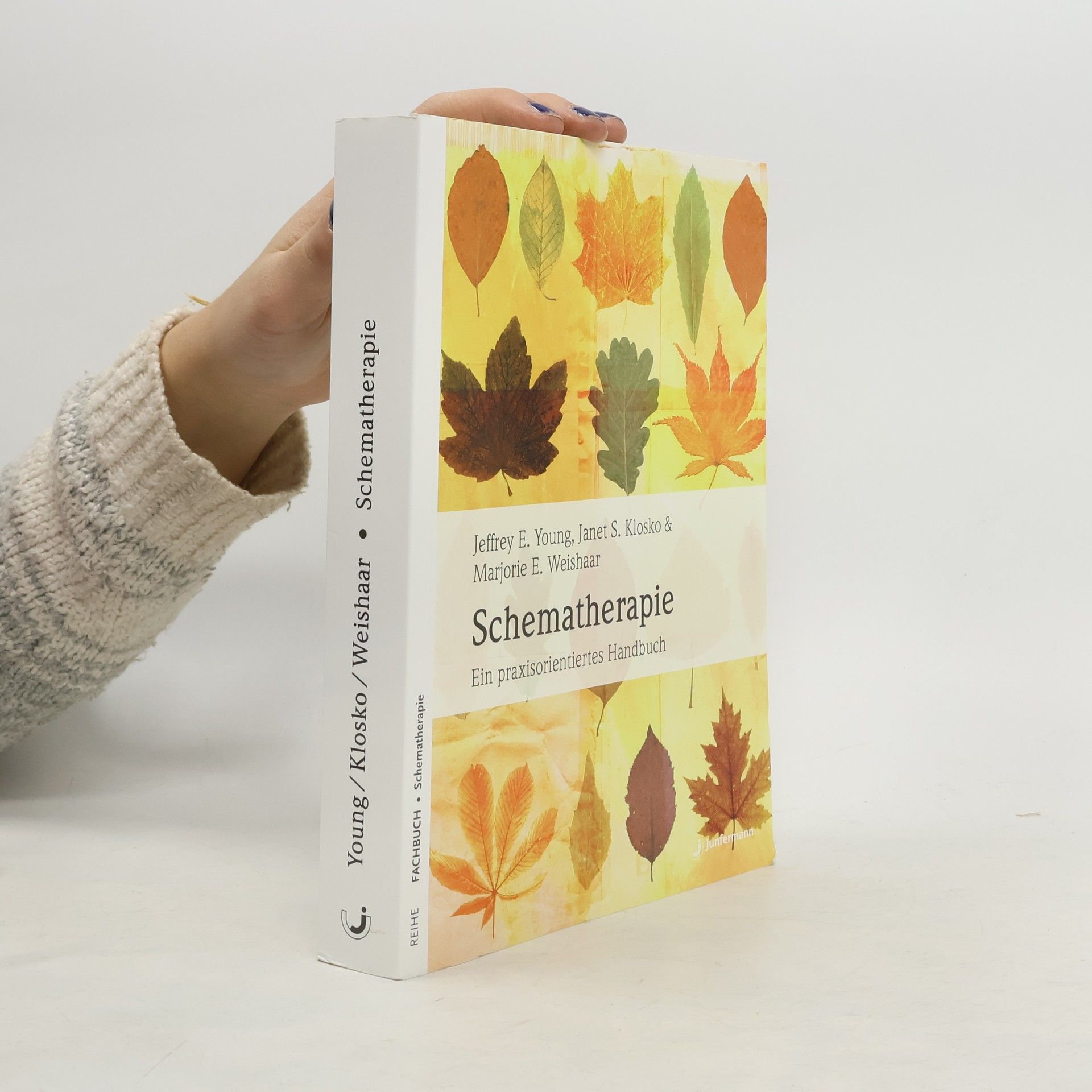 Jeffrey E. Young Schematherapie