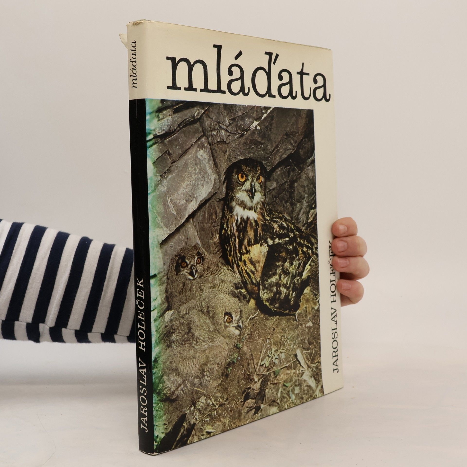 Jaroslav Holeček Mláďata