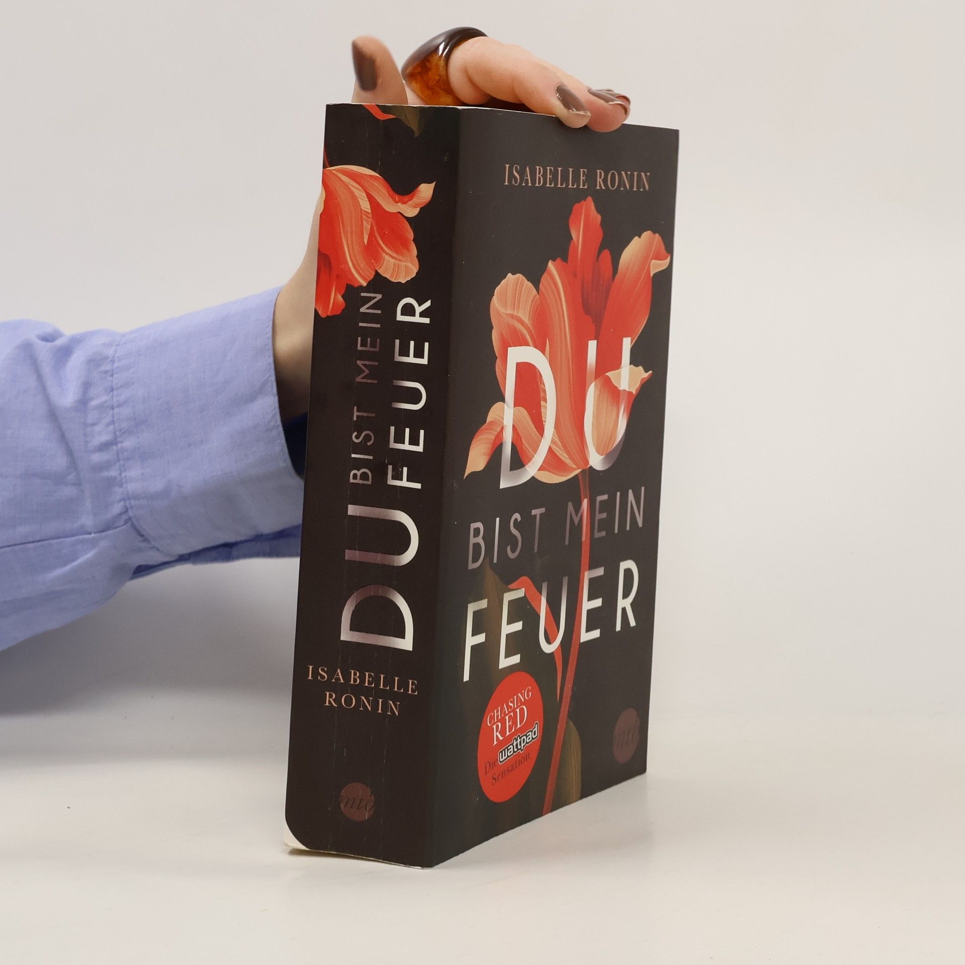 Isabelle Ronin Du bist mein Feuer