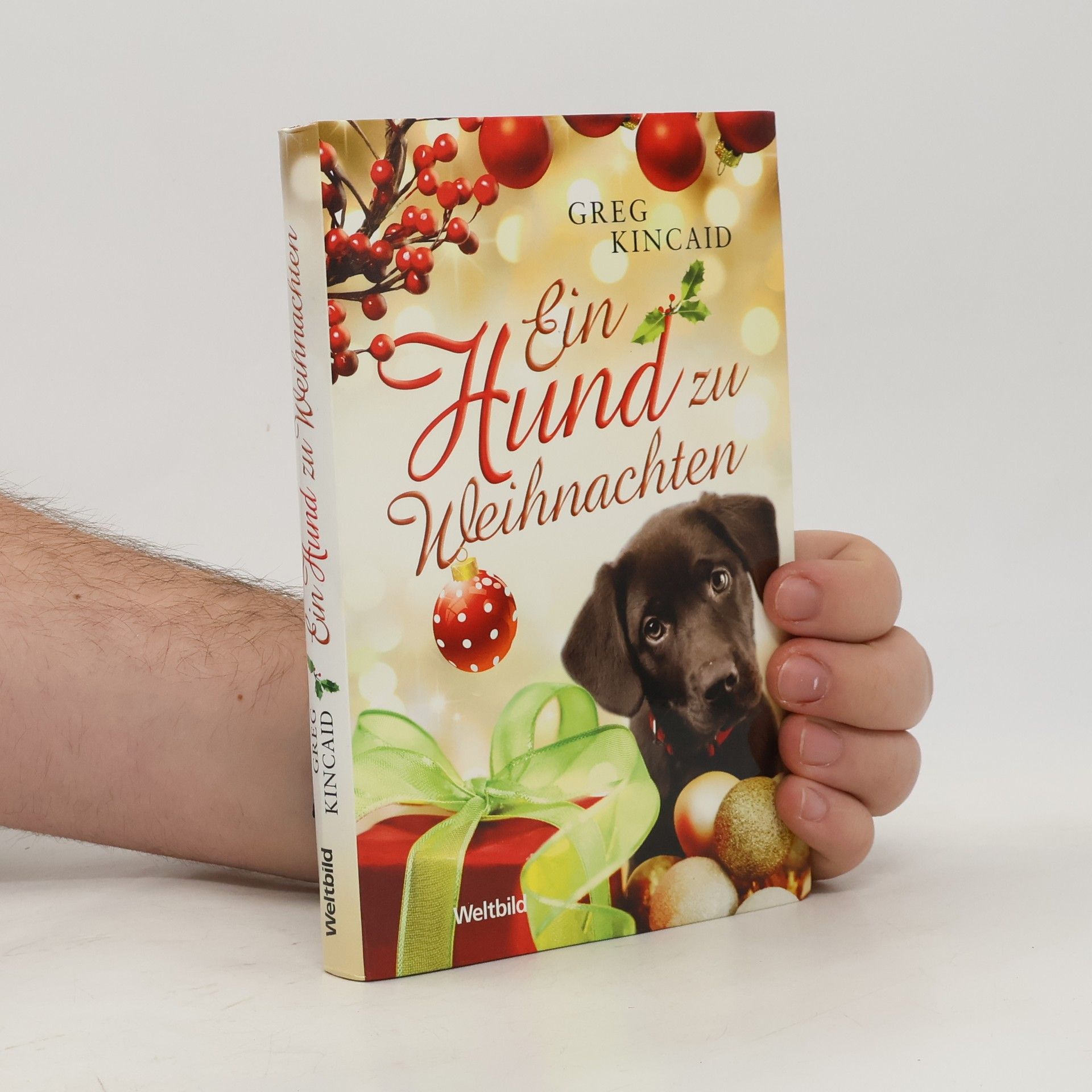 Greg Kincaid Ein Hund zu Weihnachten