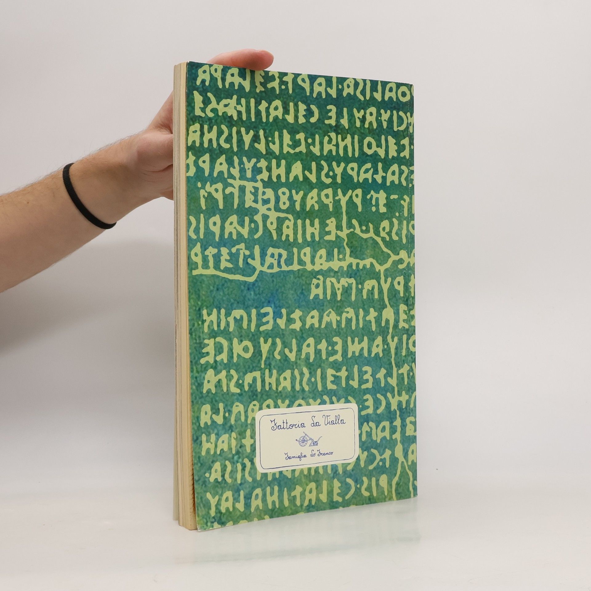 Autorenkollektiv Handbuch und Rezepte von Sa Vialla