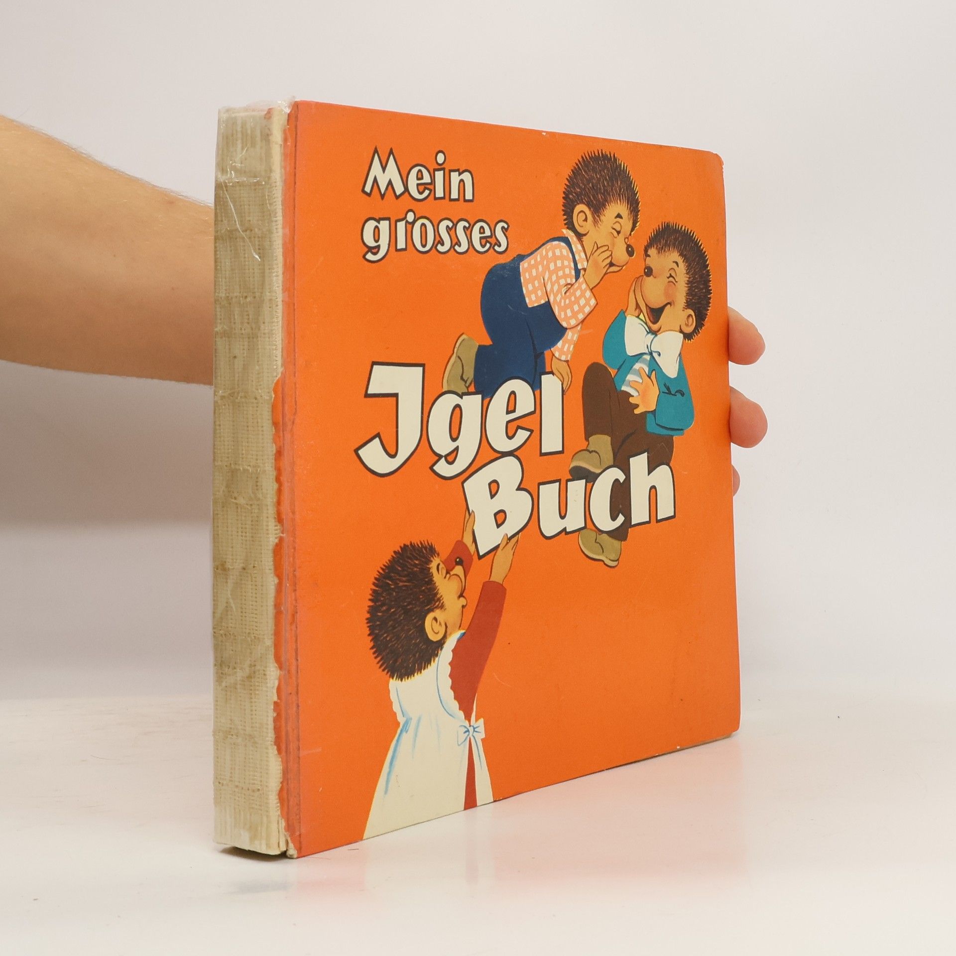 Helene Weilen Mein grosse jgelbuch