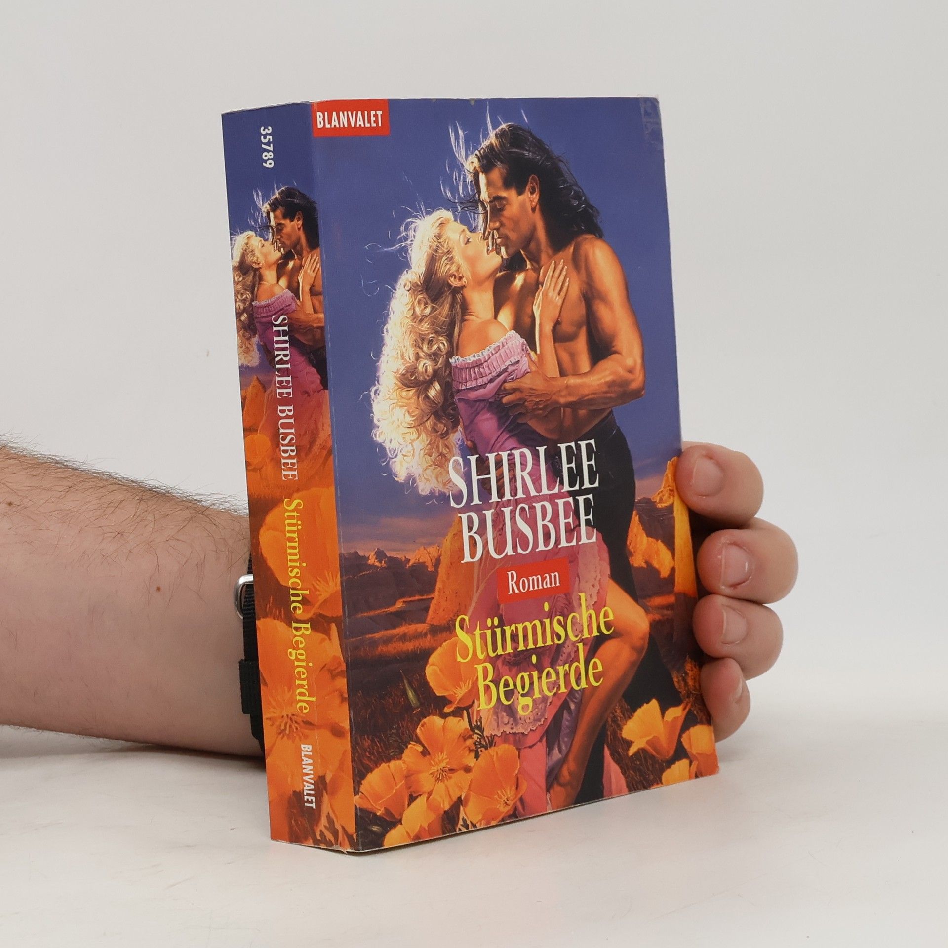 Shirlee Busbee Stürmische Begierde