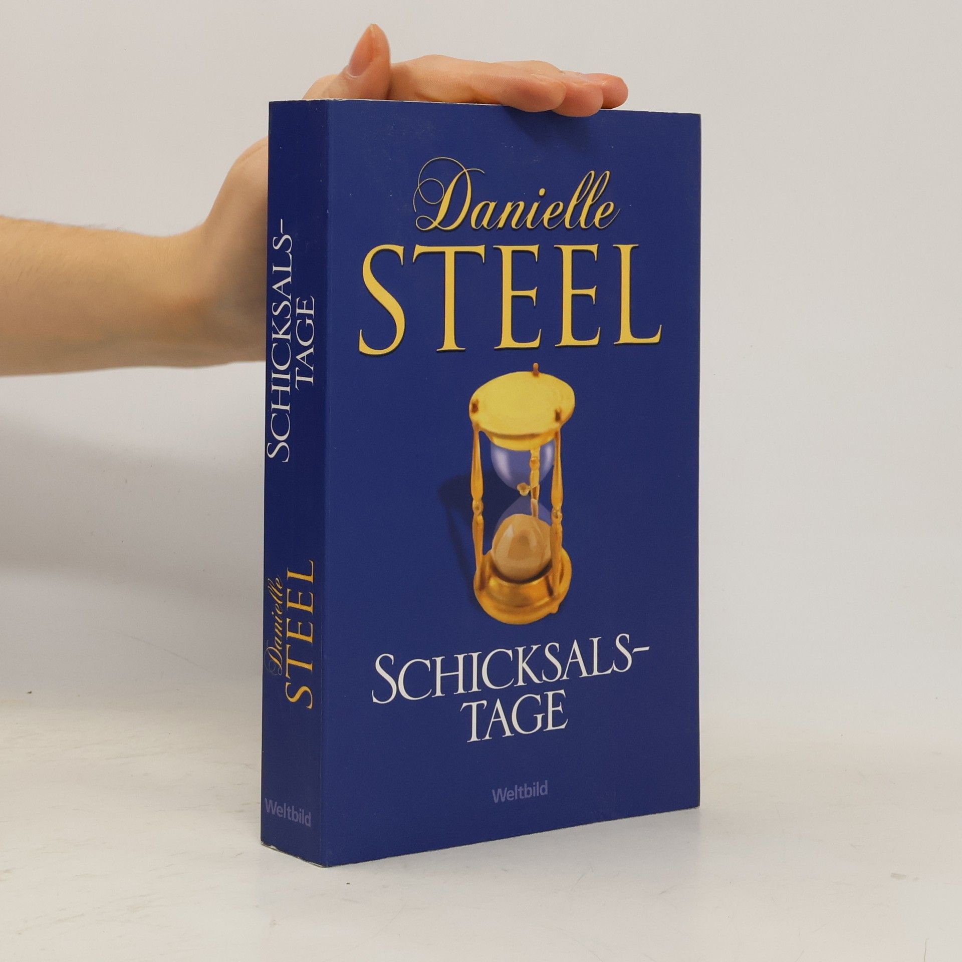 Danielle Steel Schicksalstage
