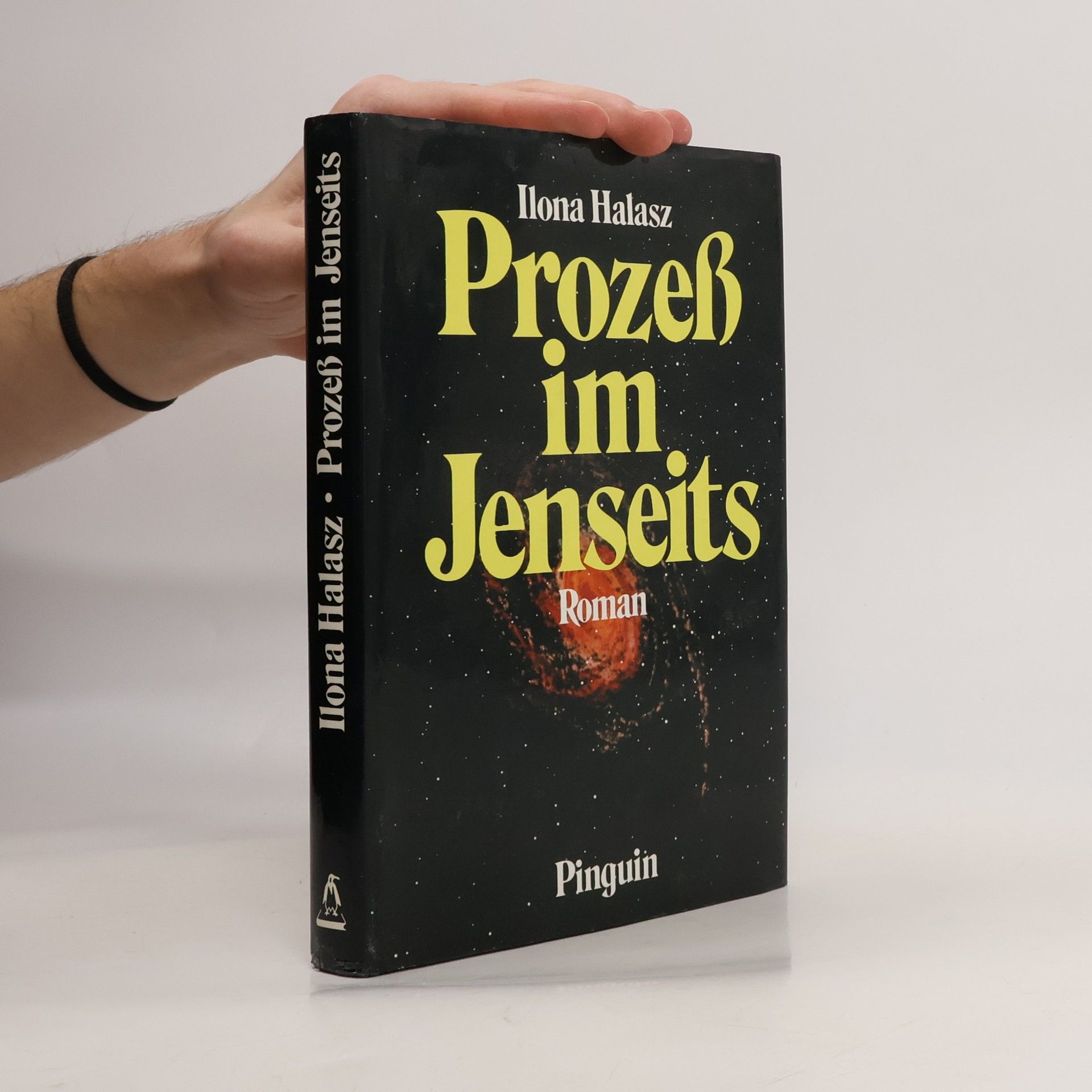 Ilona Halasz Prozess im Jenseits