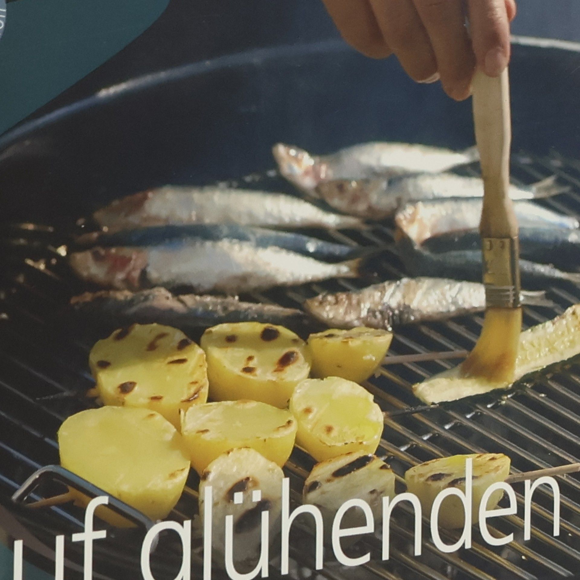 Walter Osztovics Auf glühenden Kohlen