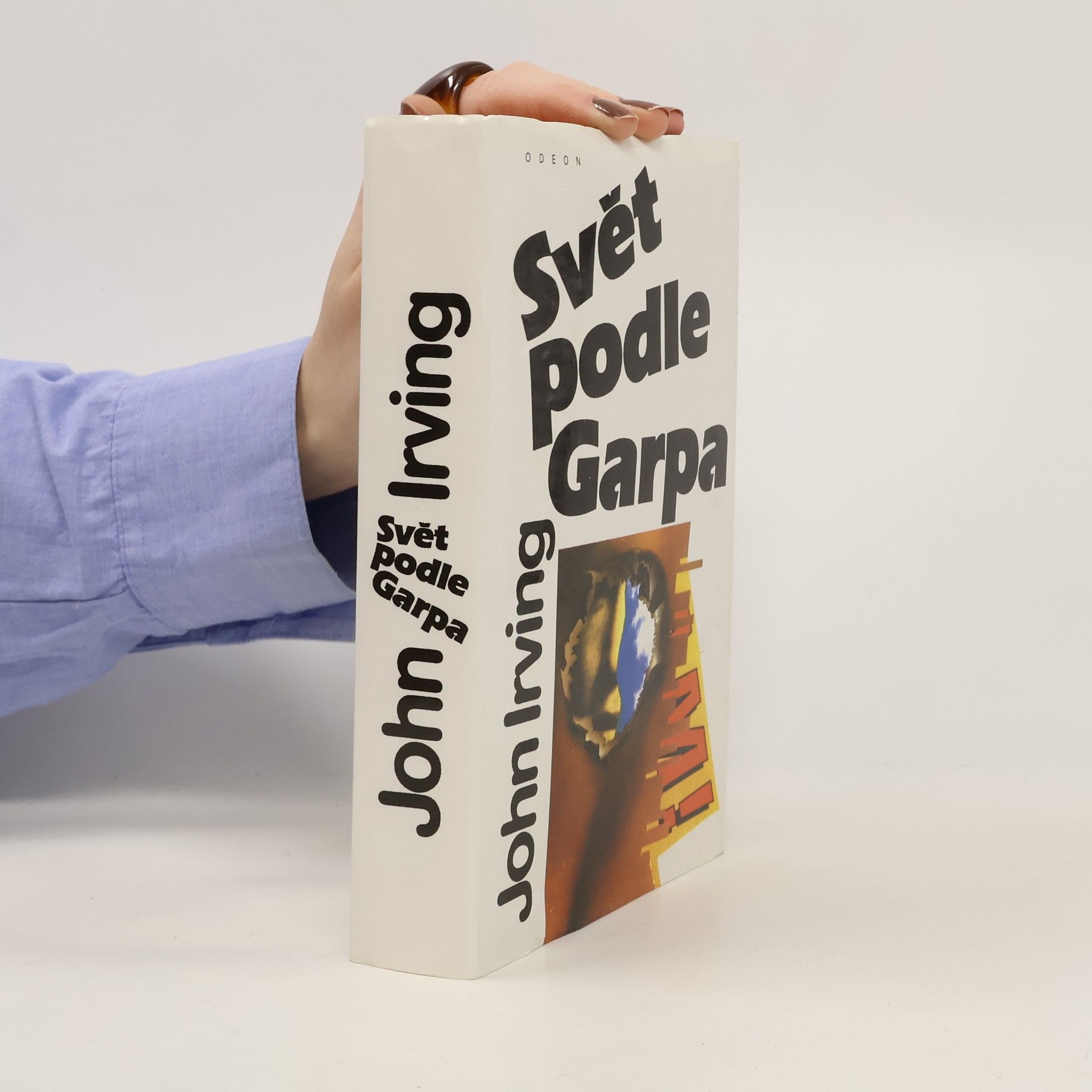 John Irving Svět podle Garpa