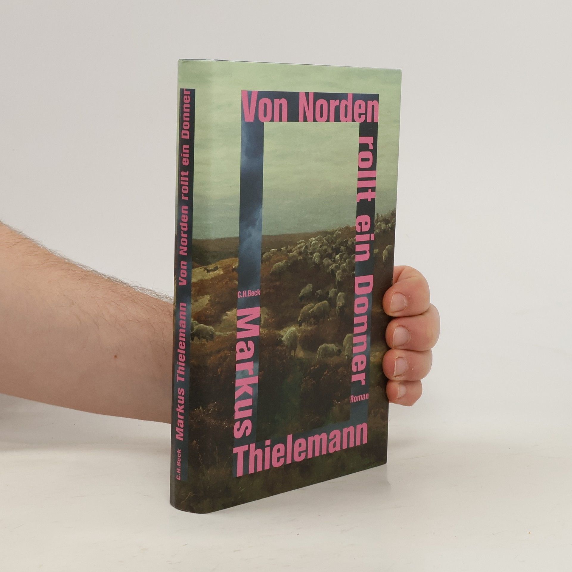 Markus Thielemann Von Norden rollt ein Donner