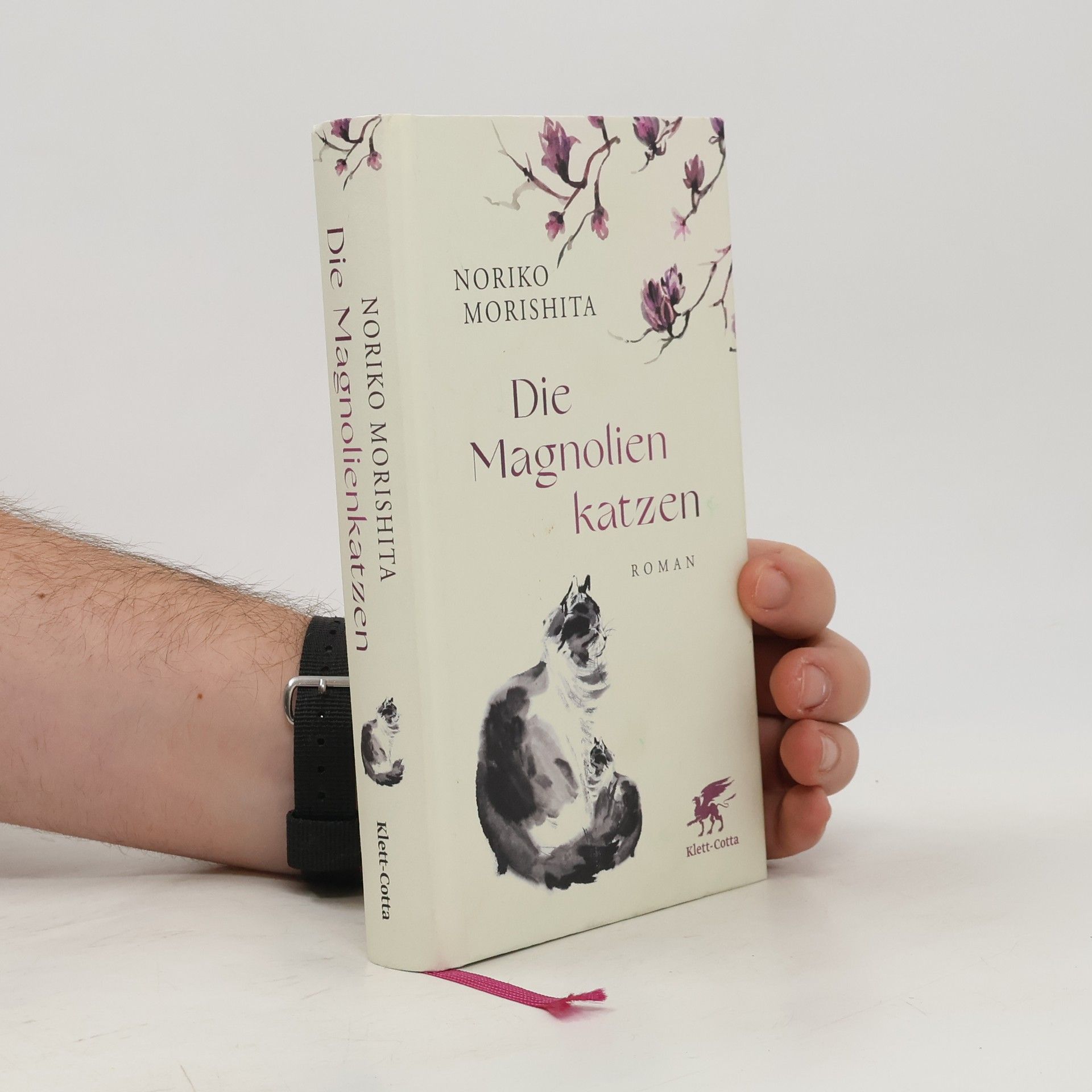 Noriko Morishita Die Magnolienkatzen