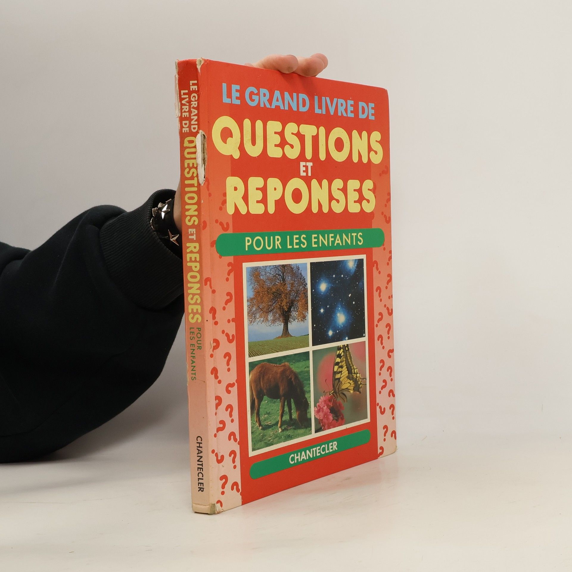 Autores varios Le grand livre de questions et réponses pour les enfants