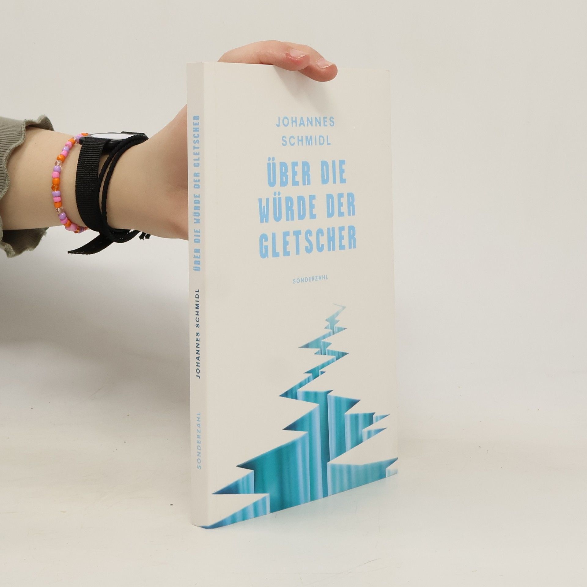 Über die Würde der Gletscher