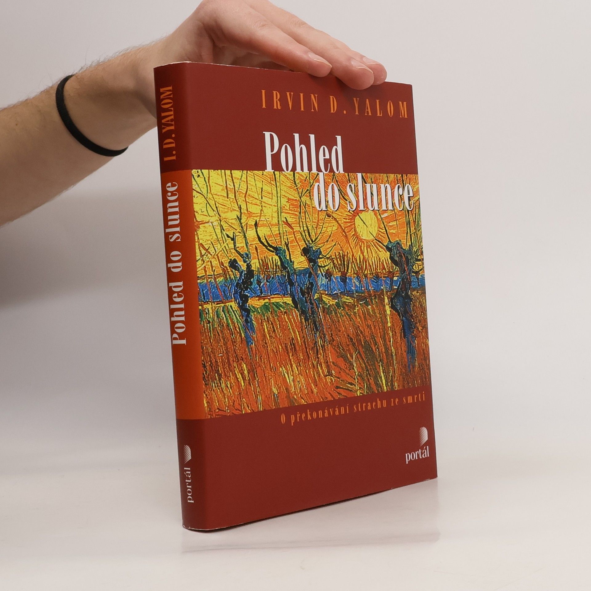 Irvin D. Yalom Pohled do slunce