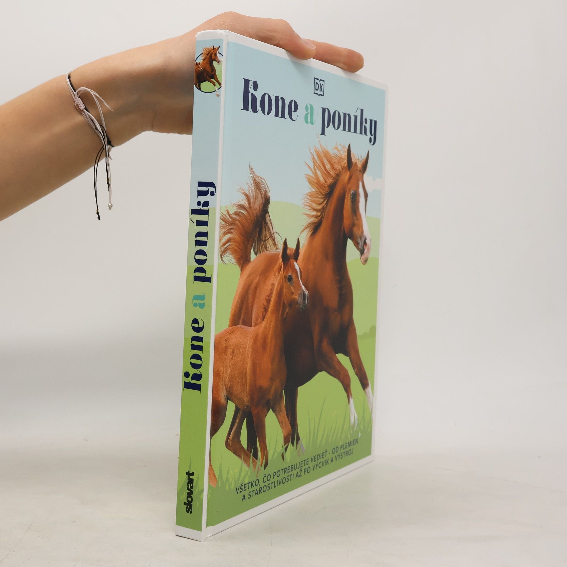 Auteurscollectief Kone a poníky