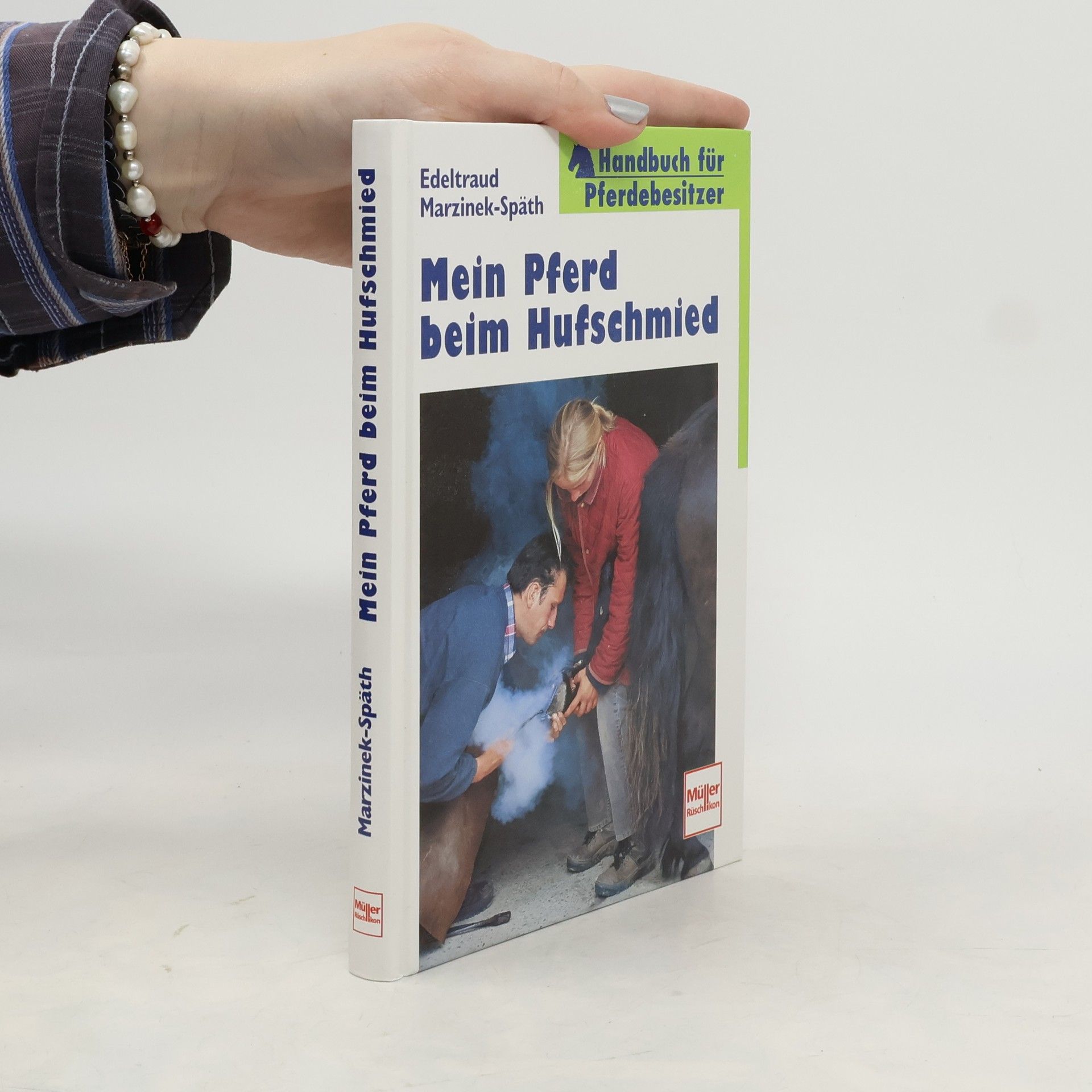 Mein Pferd beim Hufschmied