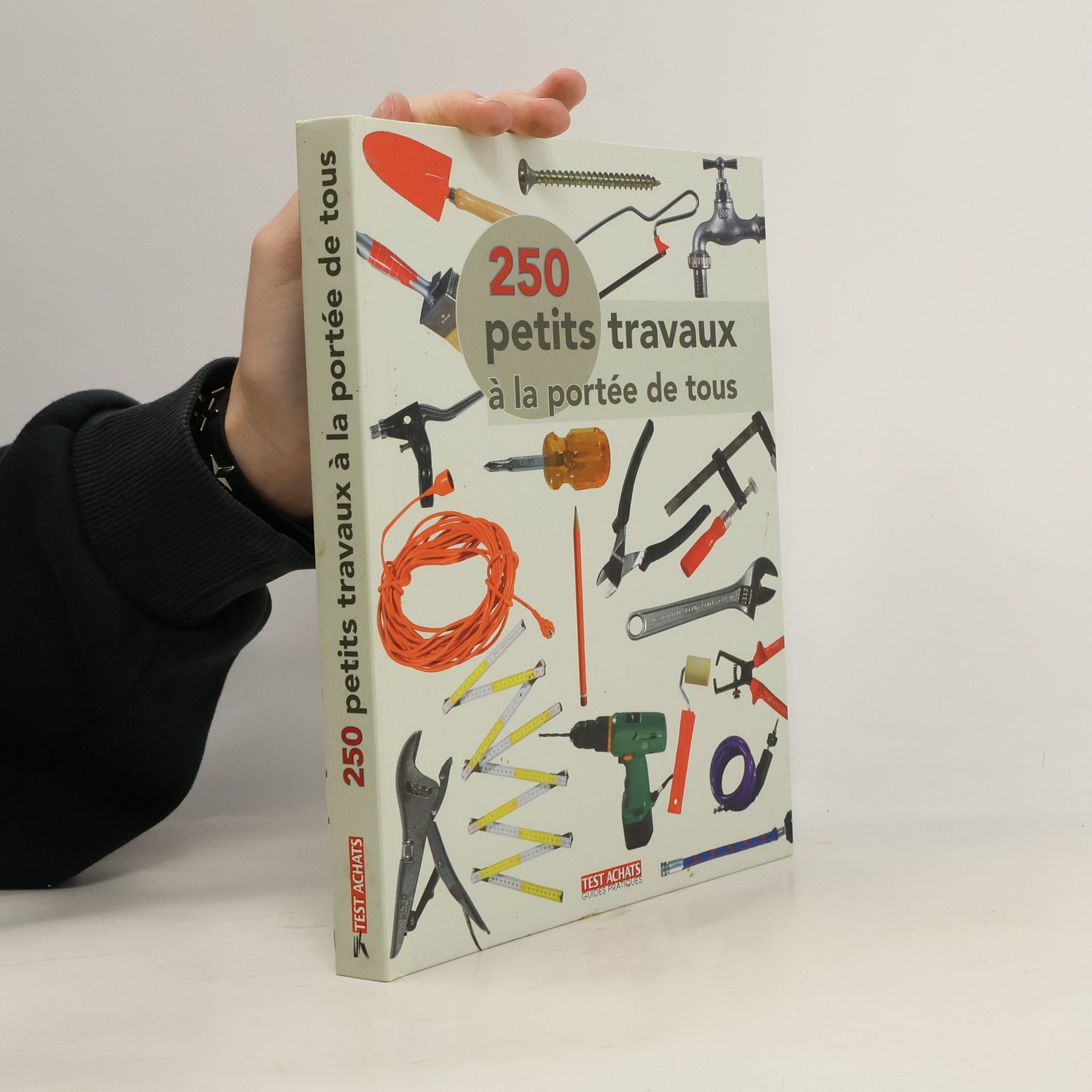 Collectif d'auteurs 250 petits travaux à la portée de tous