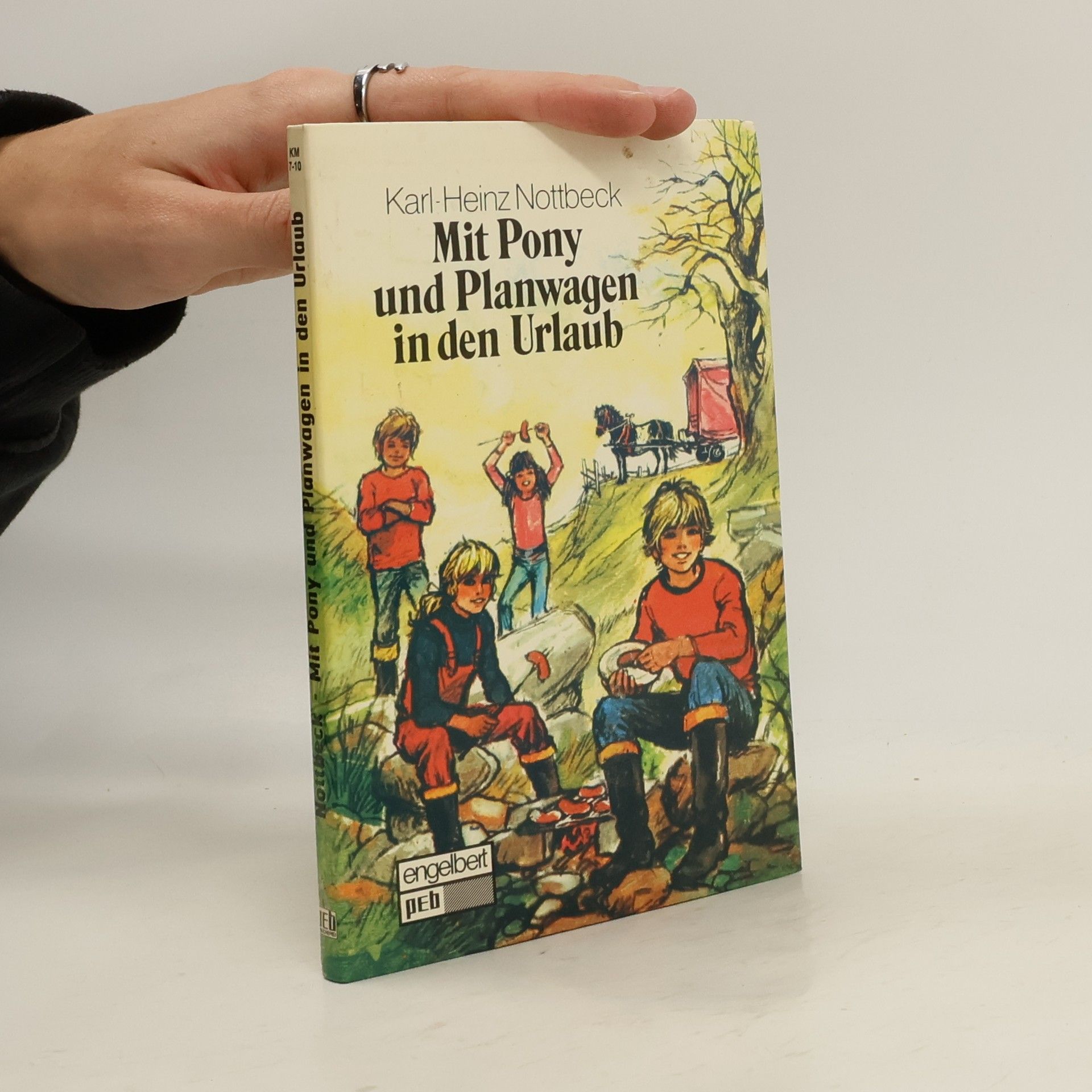 Mit Pony und Planwagen in den Urlaub