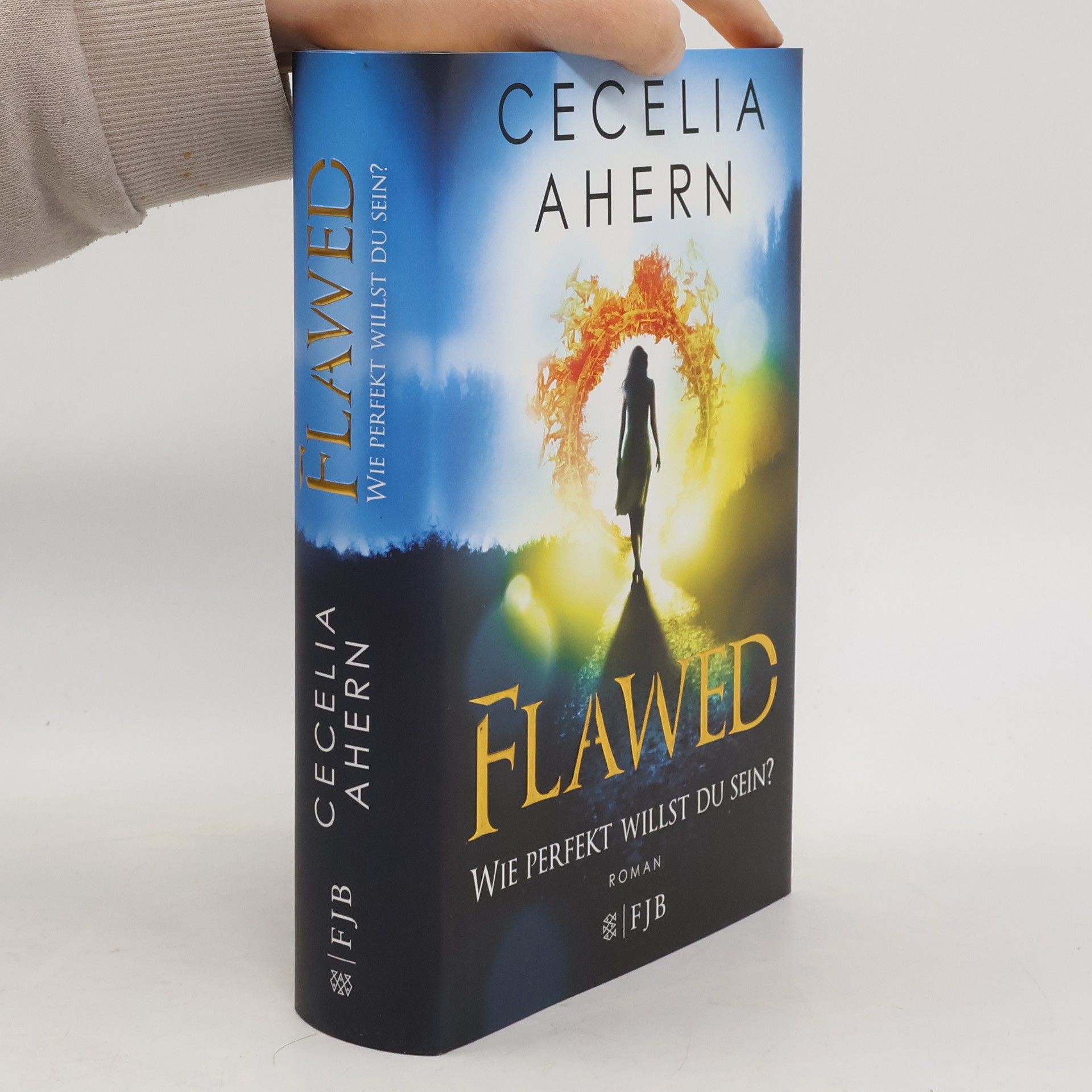 Cecelia Ahern Flawed - wie perfekt willst du sein?