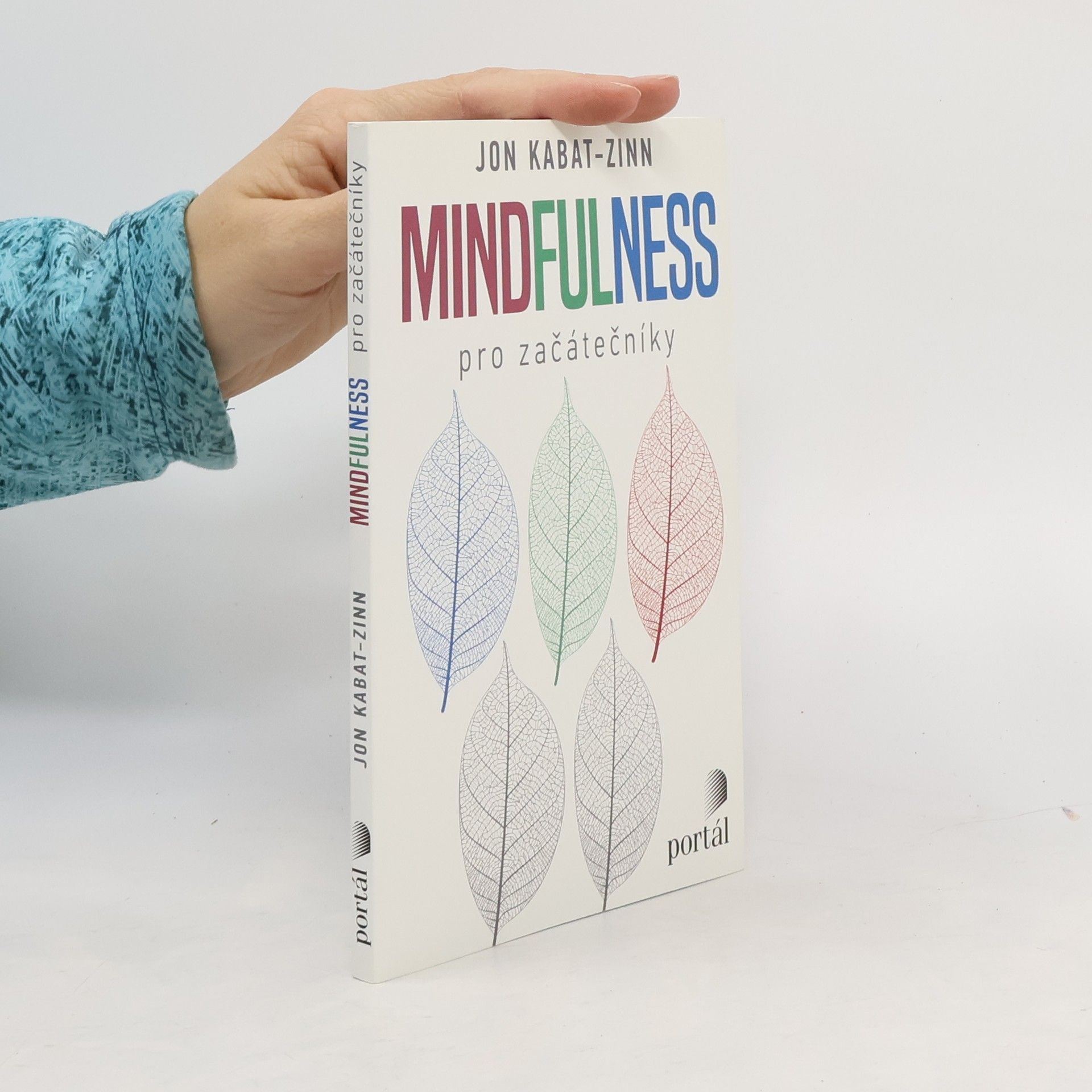 Mindfulness pro začátečníky