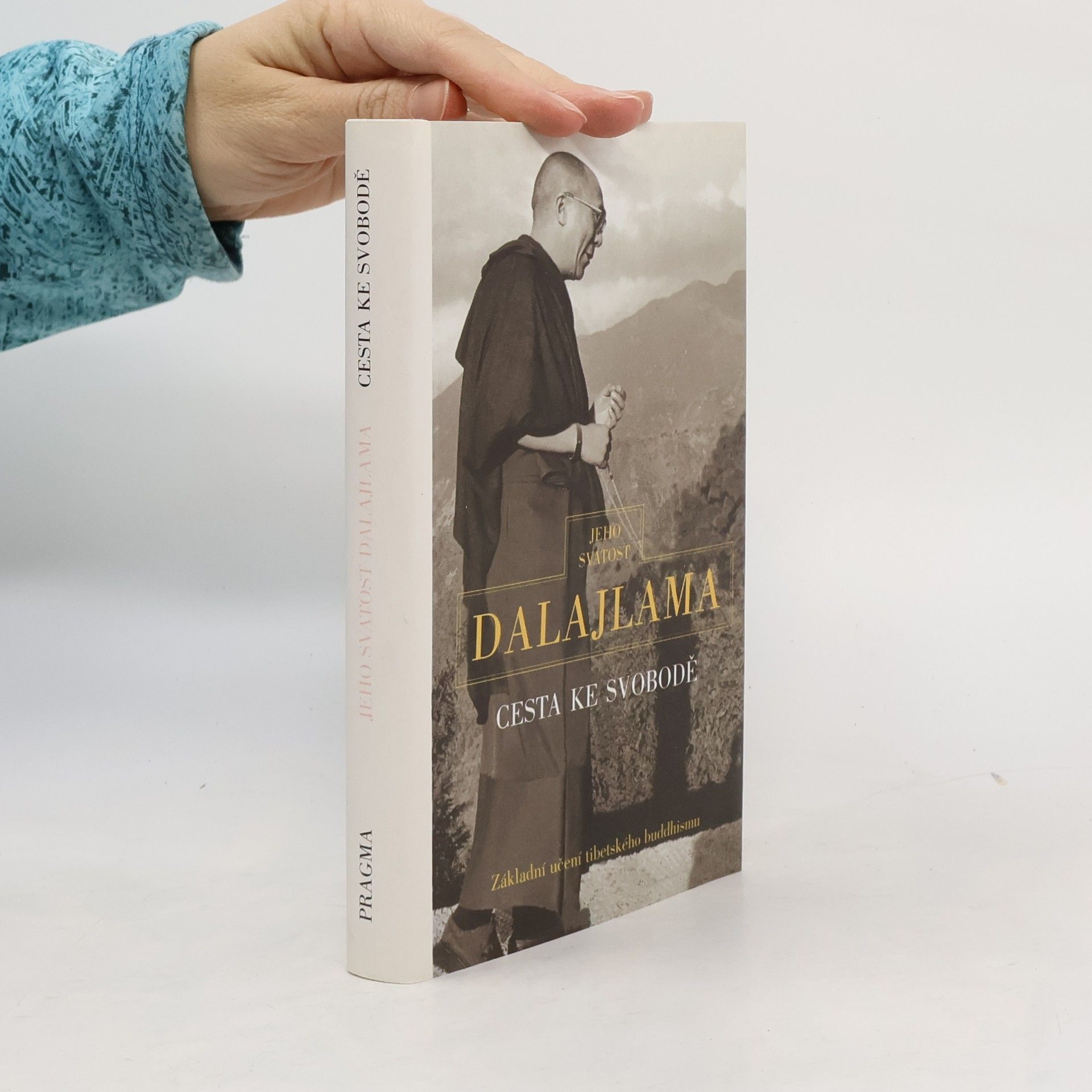 Irena Janovcová Cesta ke svobodě