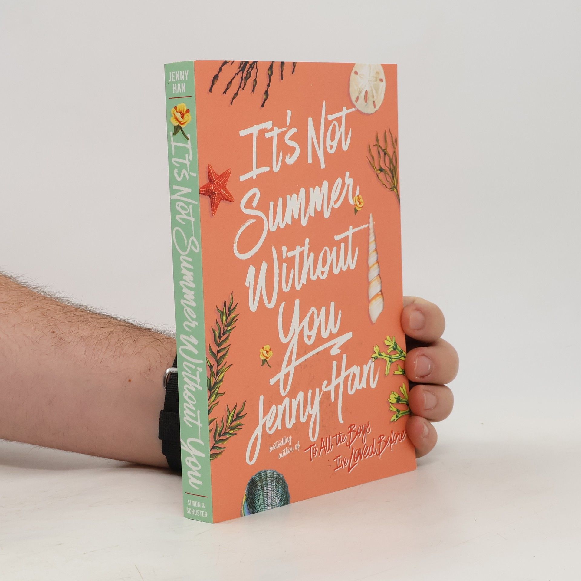 Jenny Han It's Not Summer Without You