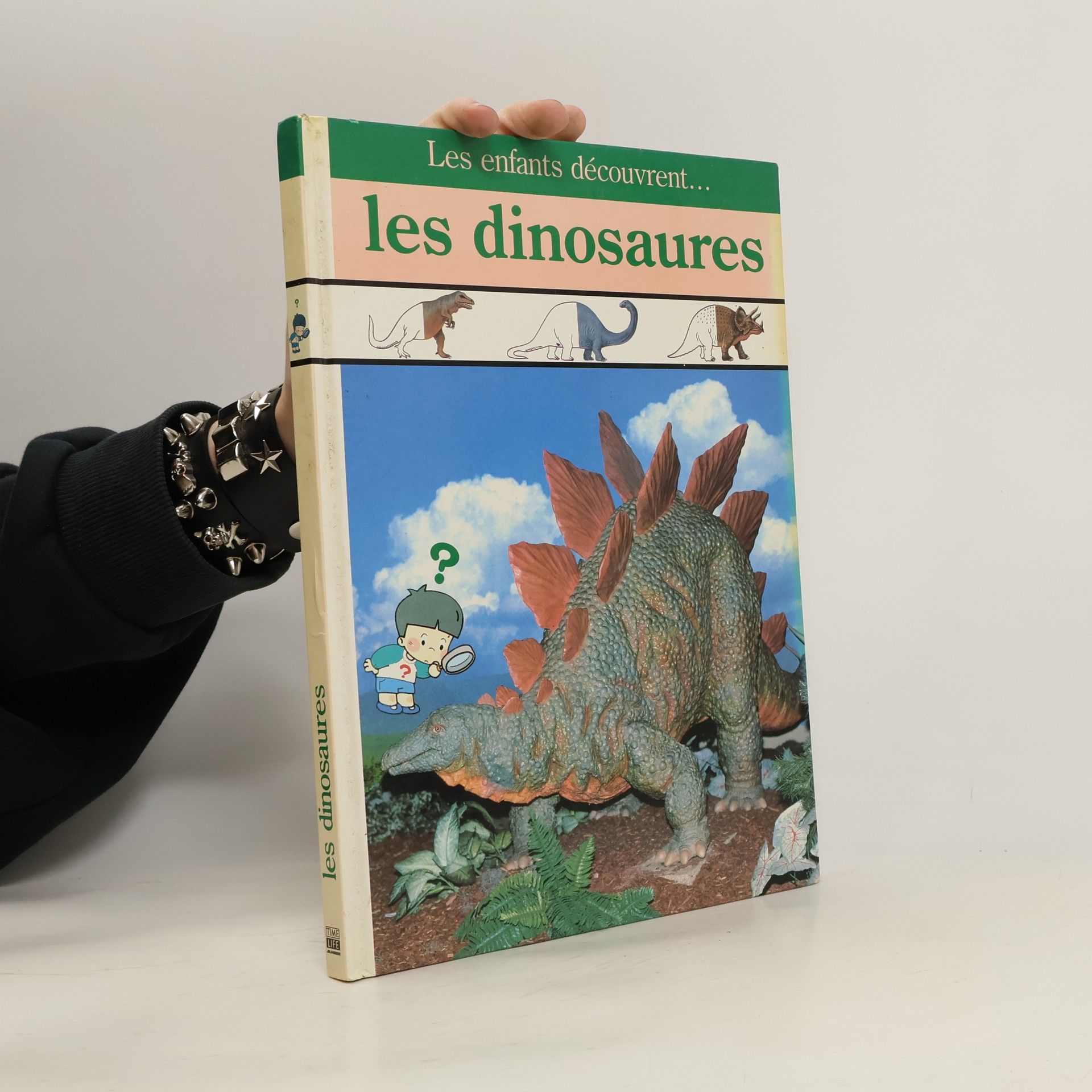 Dominique Aubert Les dinosaures