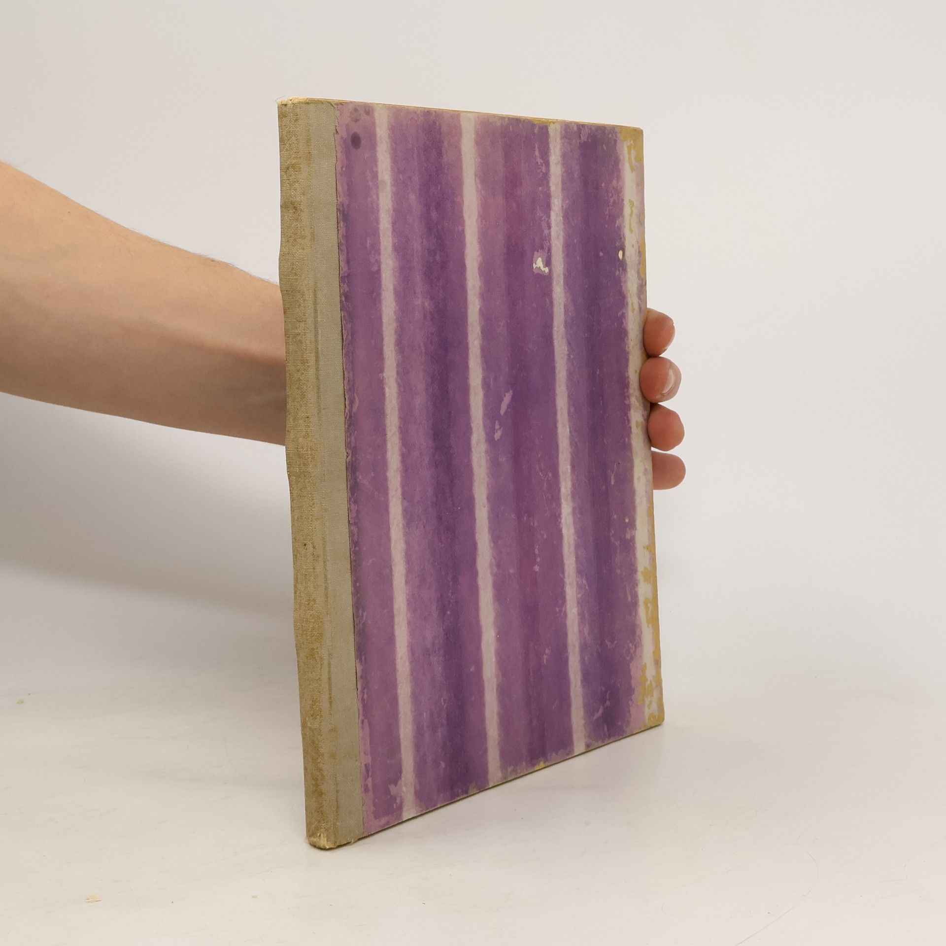 Artur Fürst Das Reich der Kraft