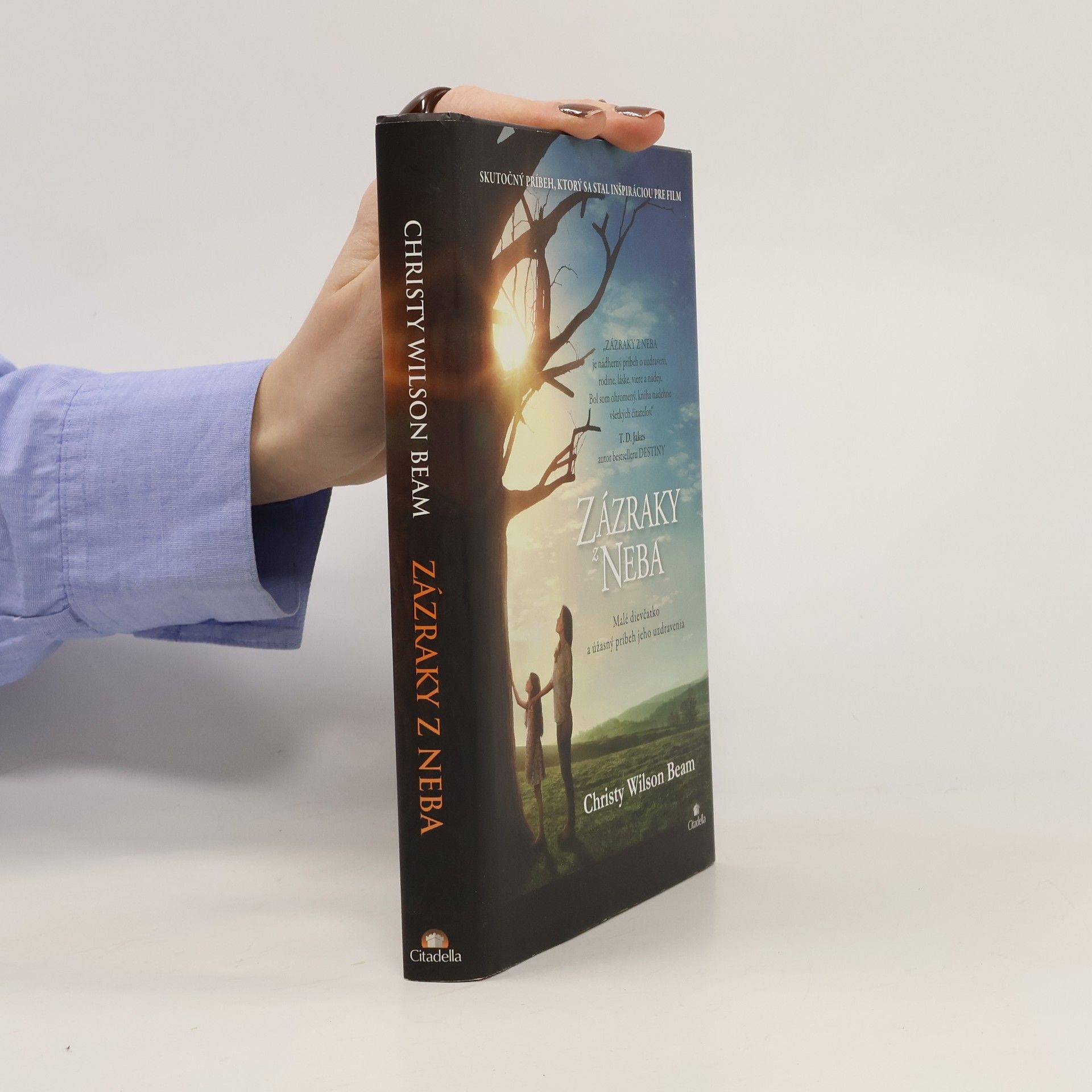 Christy Wilson Beam Zázraky z neba