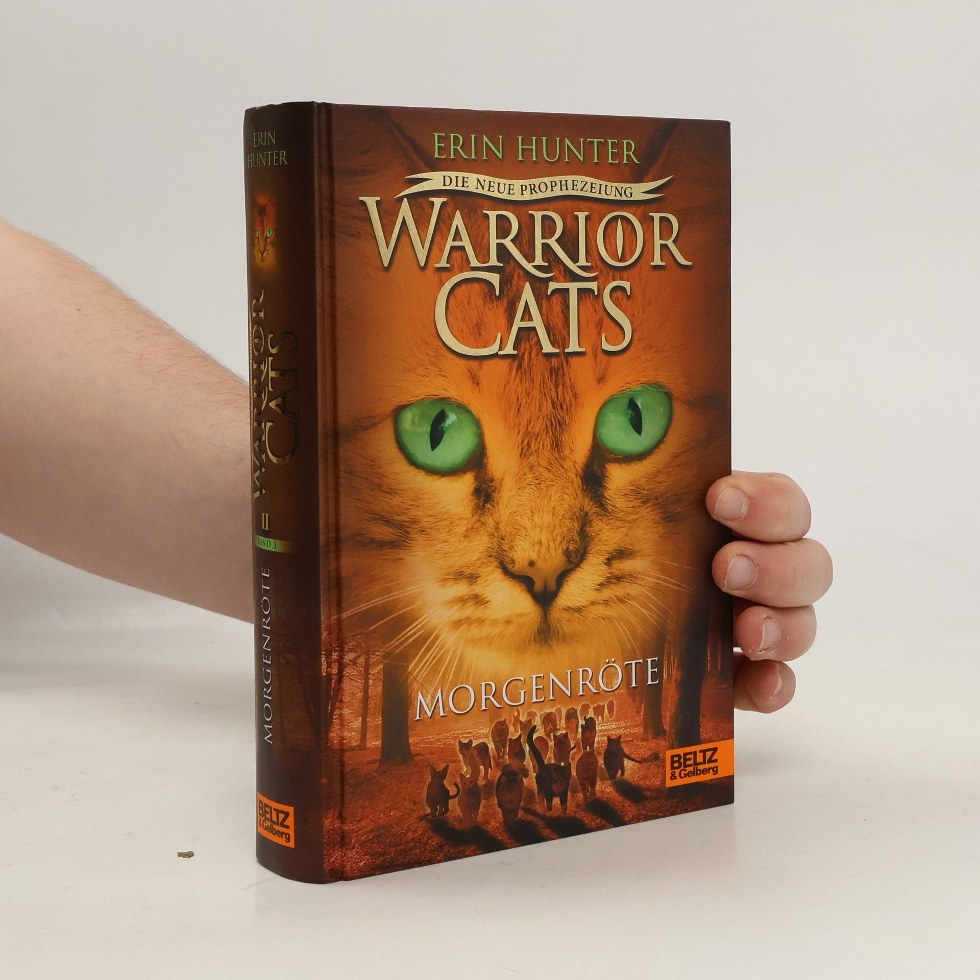 Erin Hunter Warrior Cats - Morgenröte