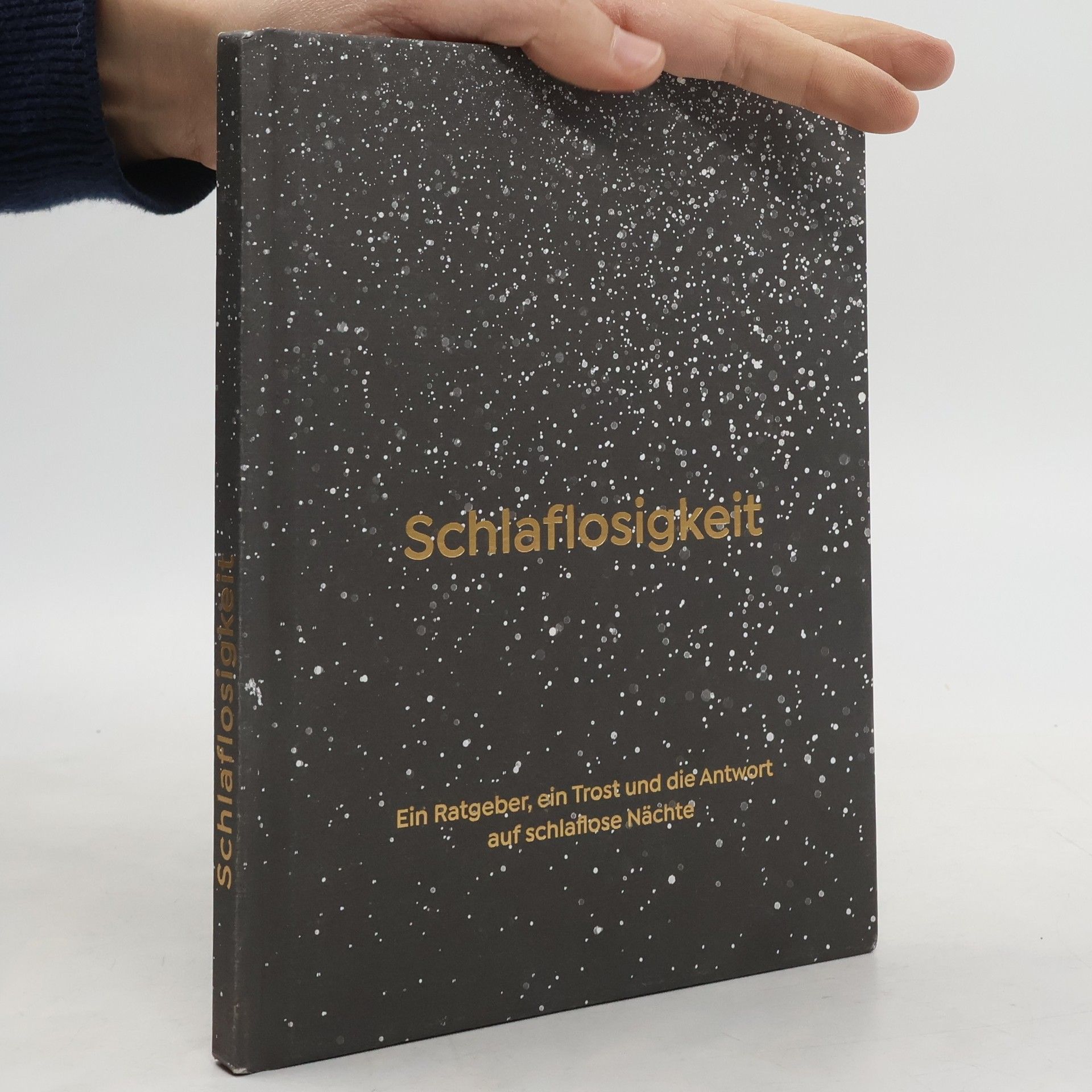 Alain de Botton SCHLAFLOSIGKEIT