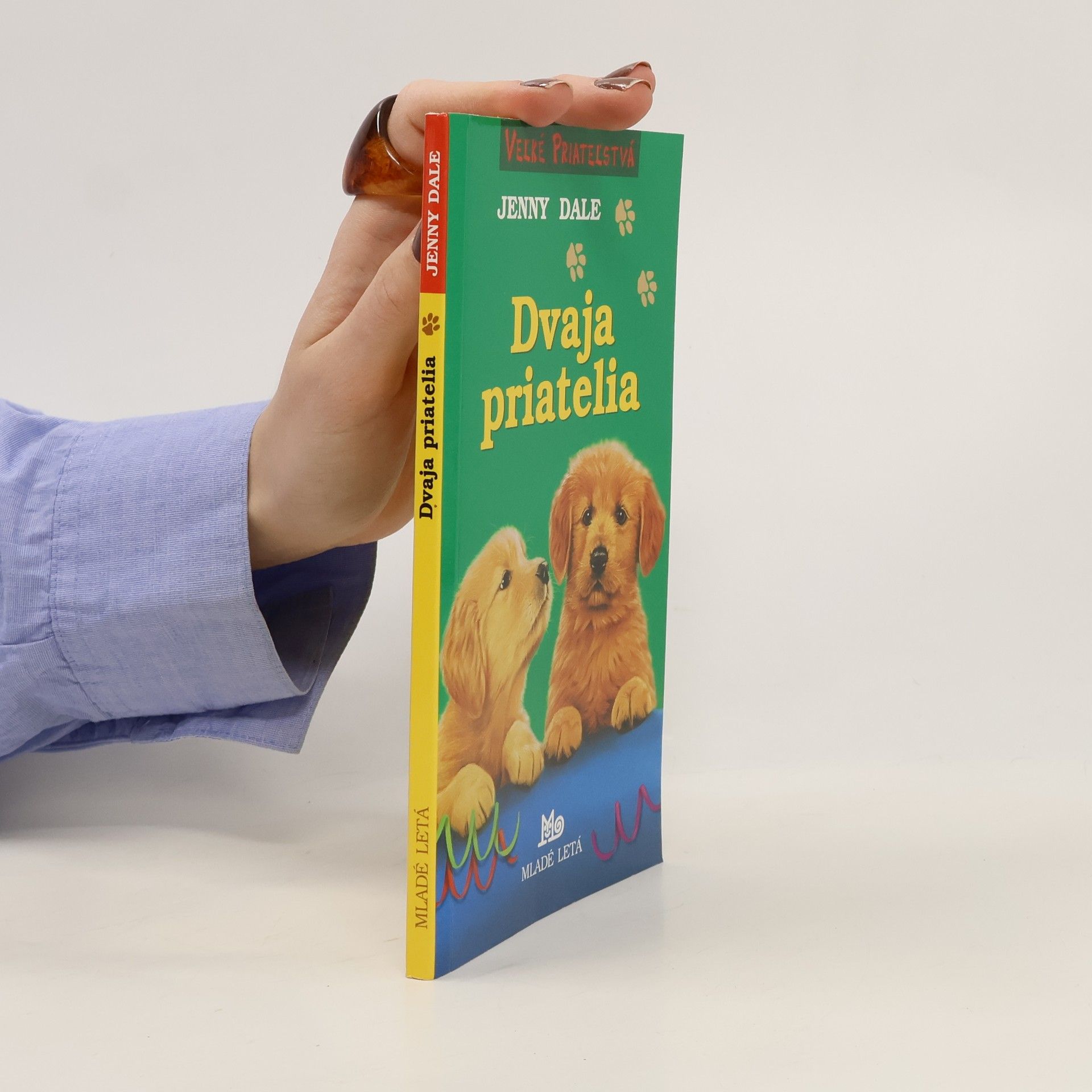 Linda Chapman Dvaja priatelia