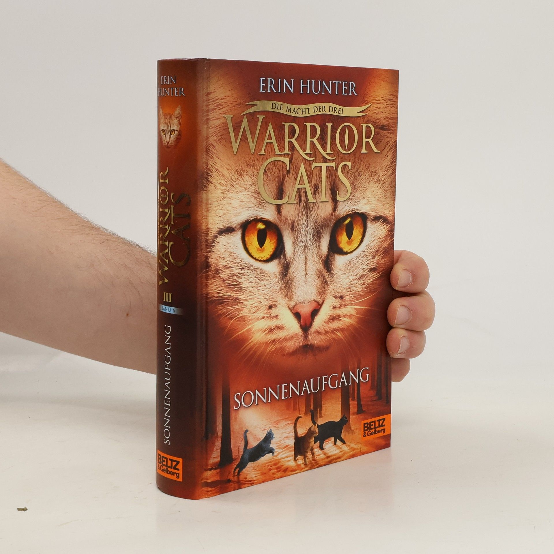Erin Hunter Warrior Cats. Sonnenaufgang