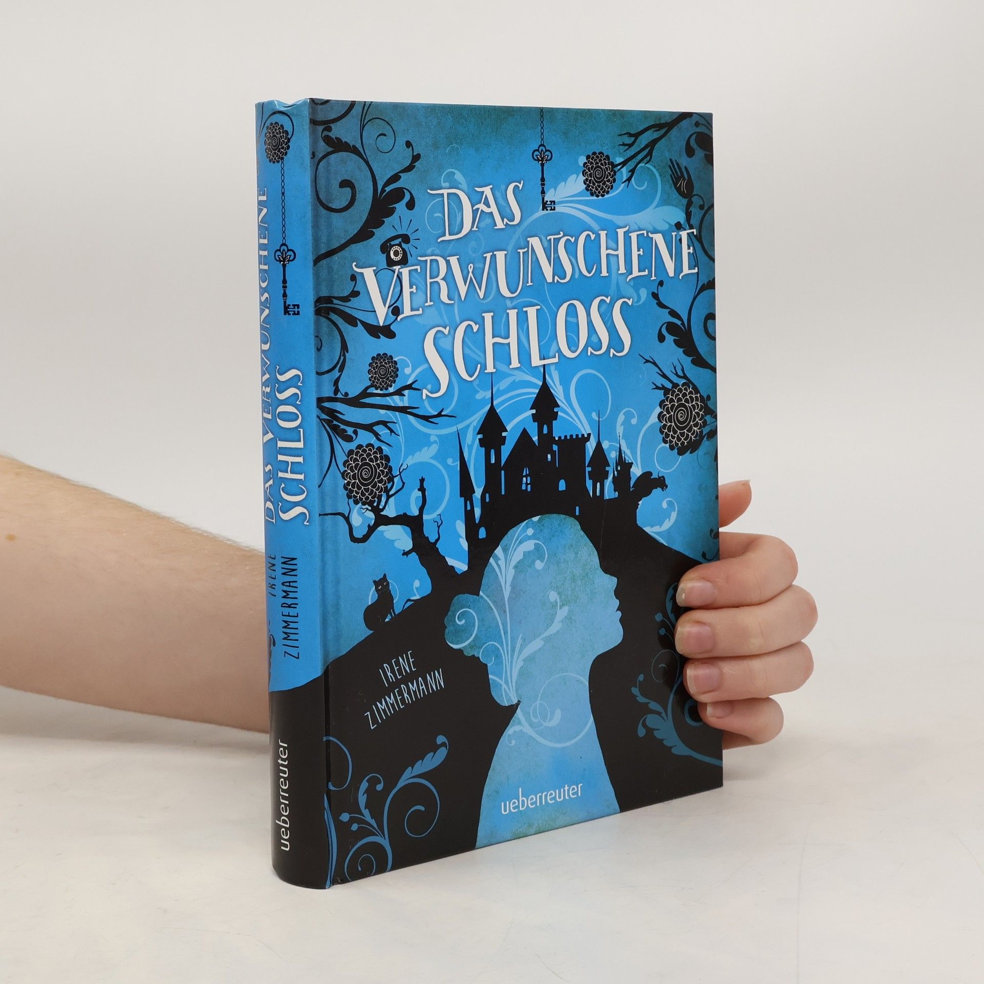 Irene Zimmermann Das verwunschene Schloss